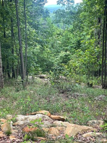 Lot 15 Dogwood Road Moravian Falls NC 28654