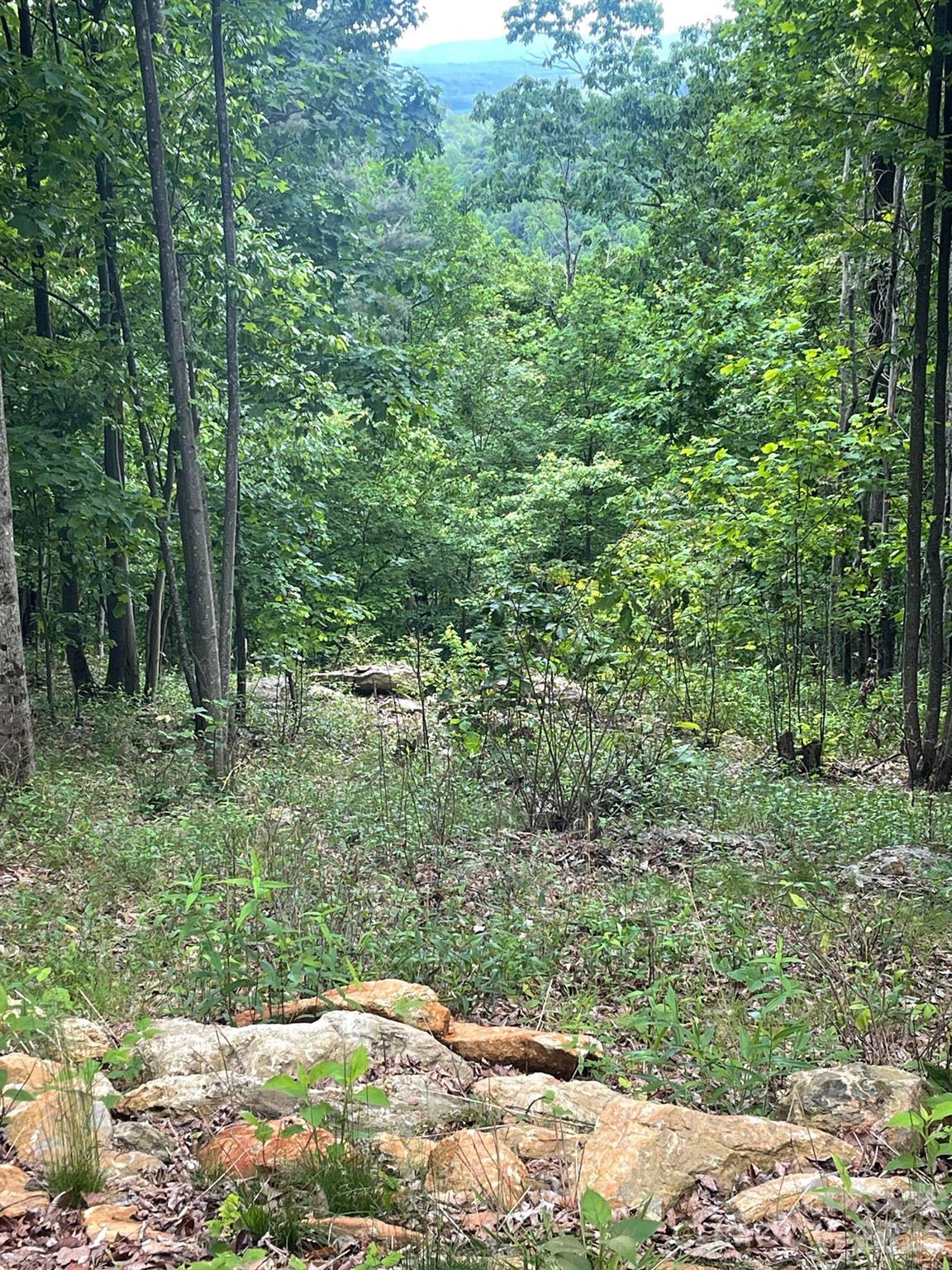 Lot 15 Dogwood Road Moravian Falls NC 28654