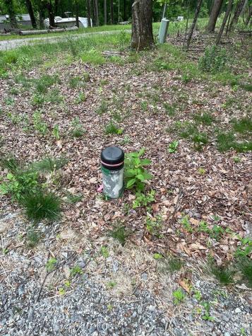 Lot 15 Dogwood Road Moravian Falls NC 28654