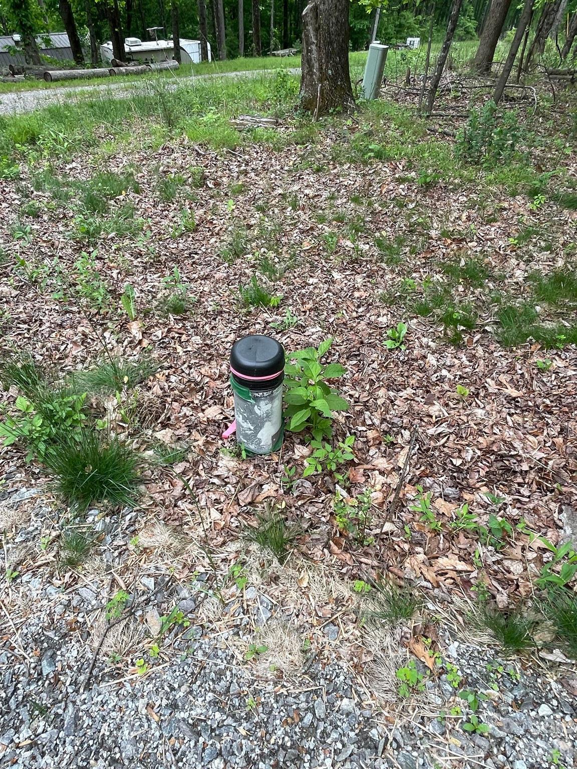 Lot 15 Dogwood Road Moravian Falls NC 28654