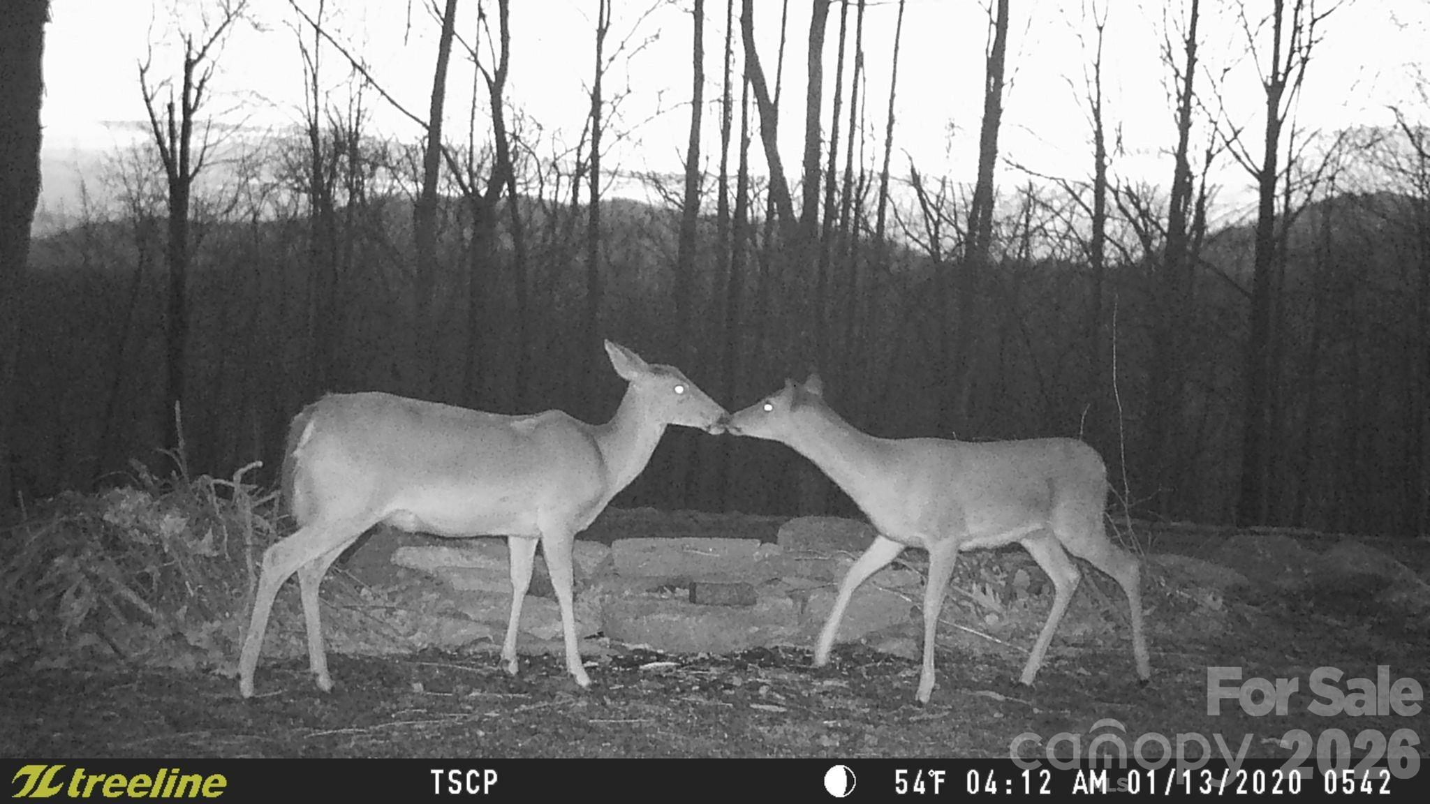 Lot 15 Dogwood Road Moravian Falls NC 28654