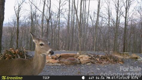 Lot 15 Dogwood Road Moravian Falls NC 28654