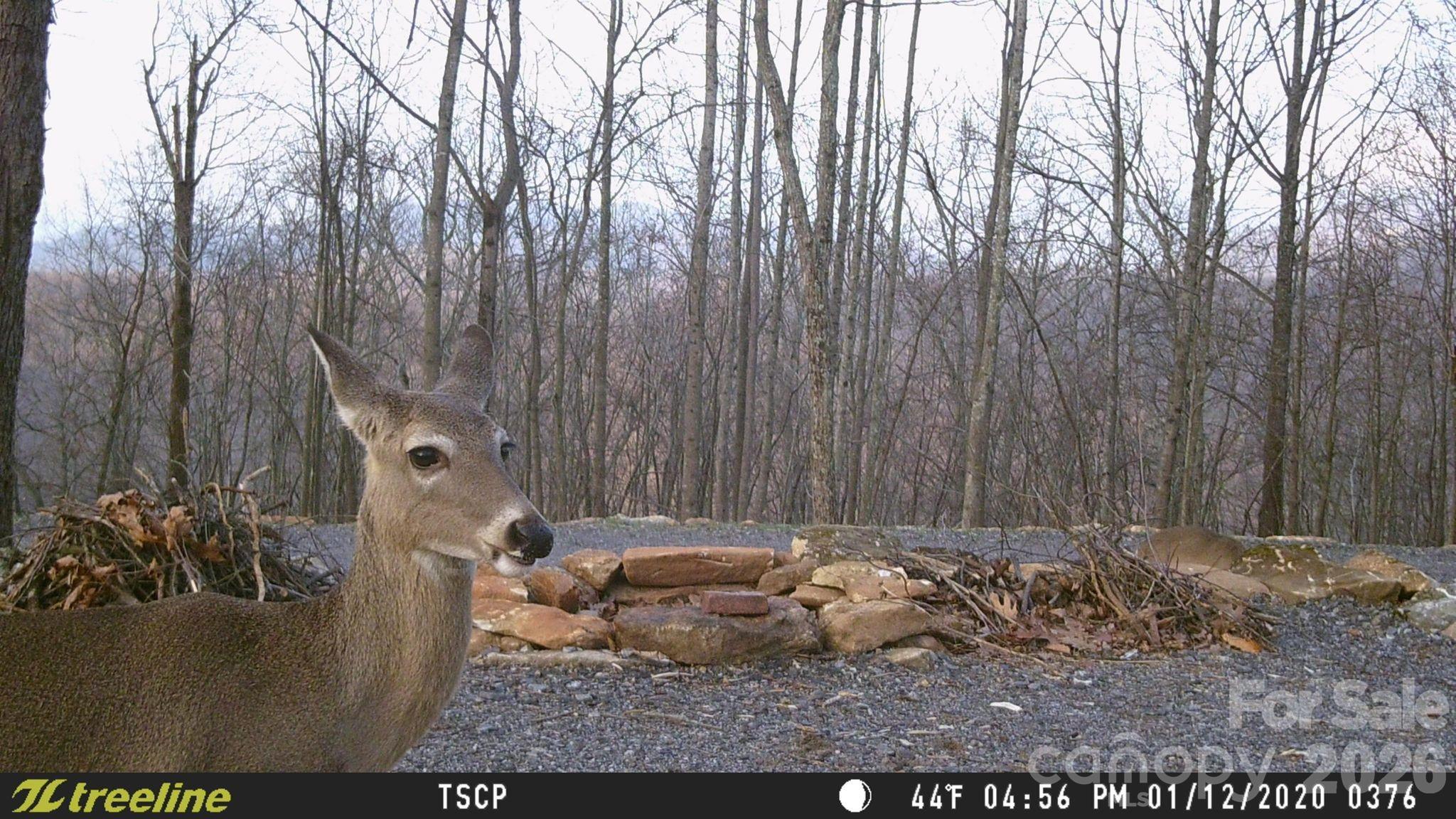 Lot 15 Dogwood Road Moravian Falls NC 28654