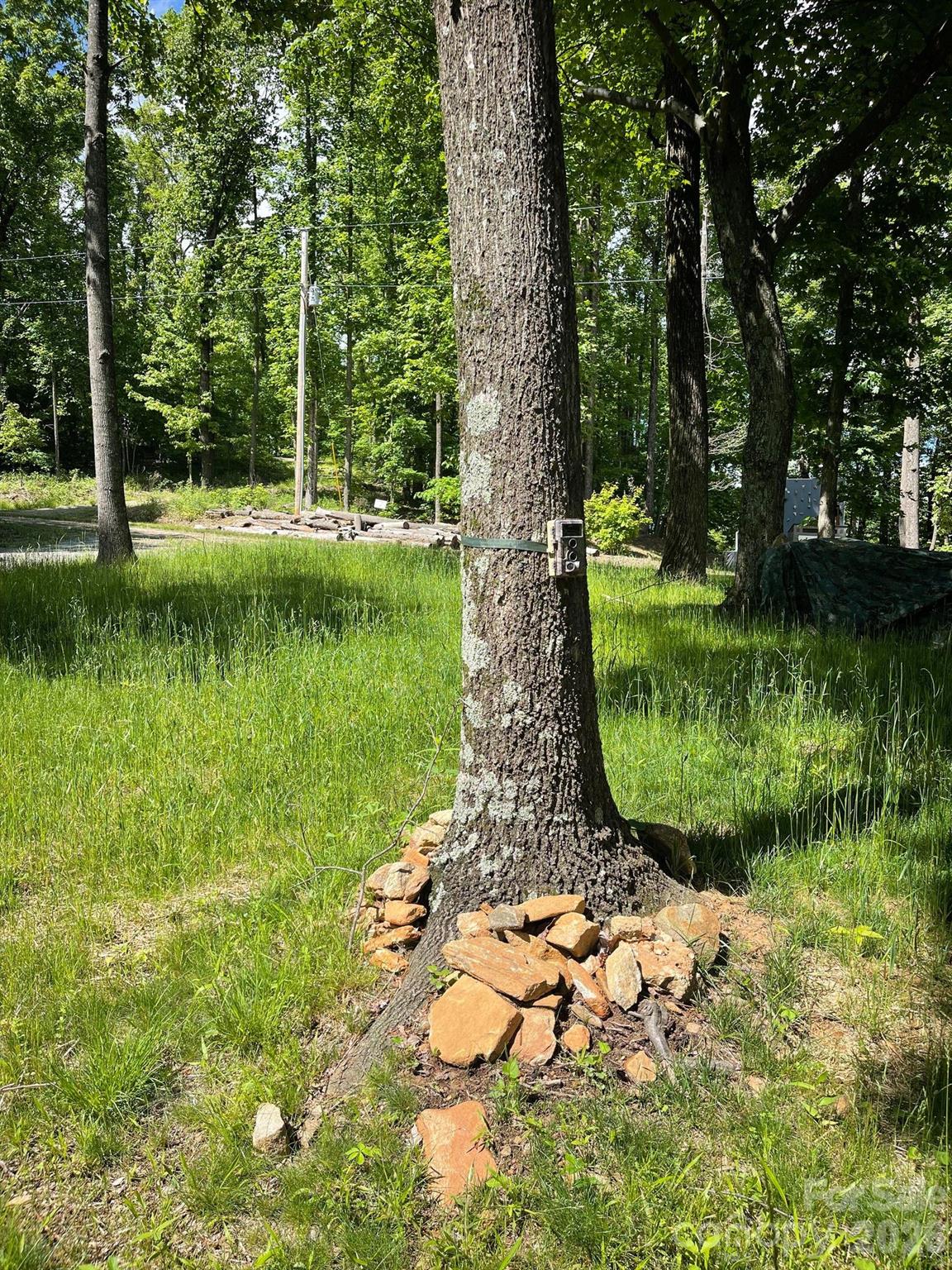 Lot 15 Dogwood Road Moravian Falls NC 28654
