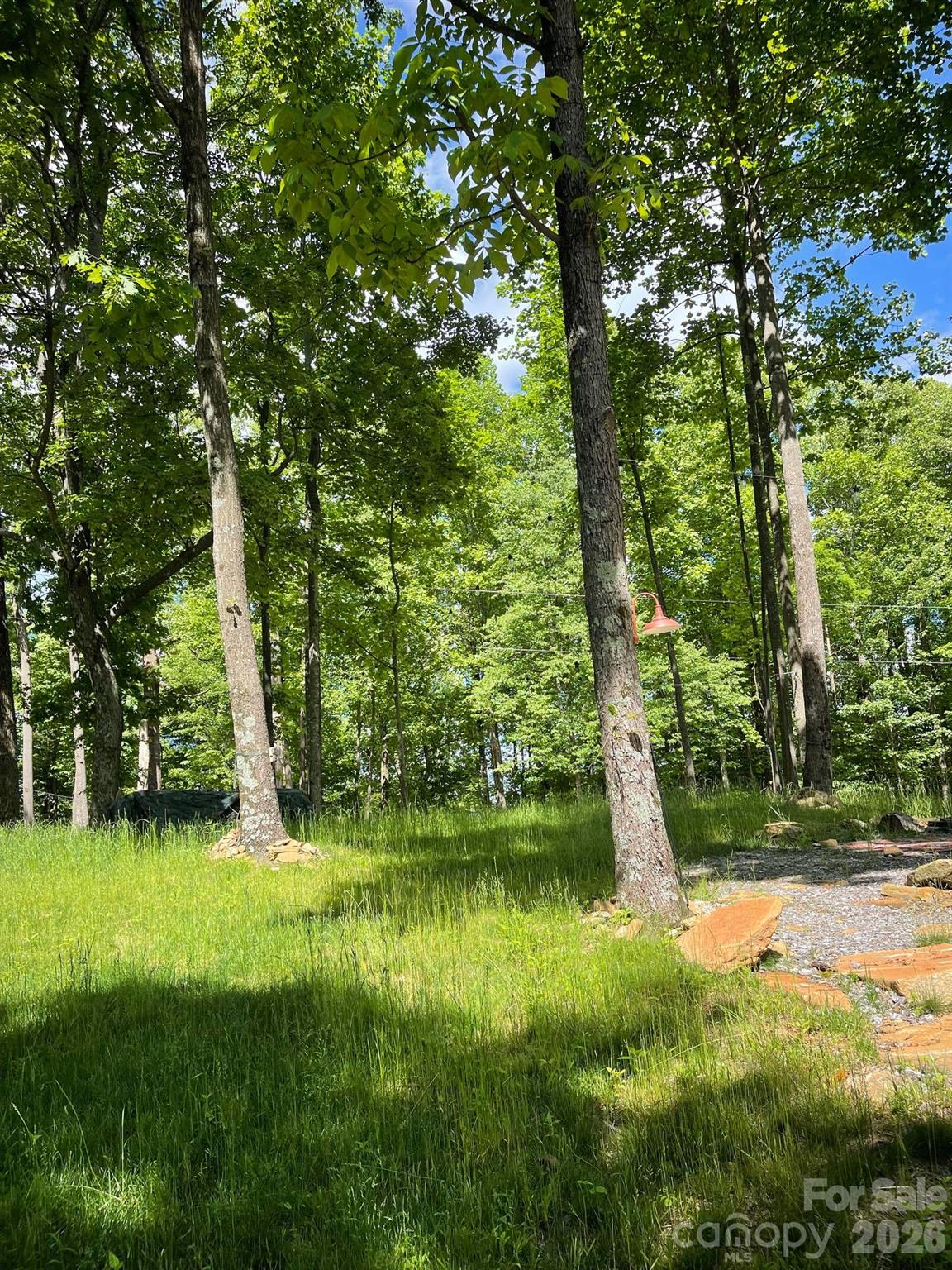 Lot 15 Dogwood Road Moravian Falls NC 28654