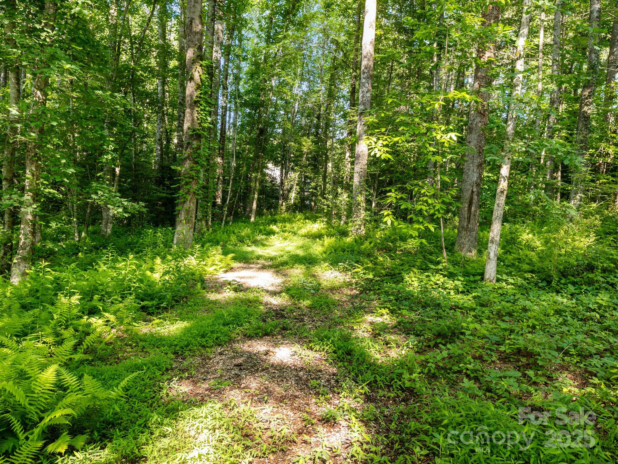 000 Old Town Way Hendersonville NC 28739