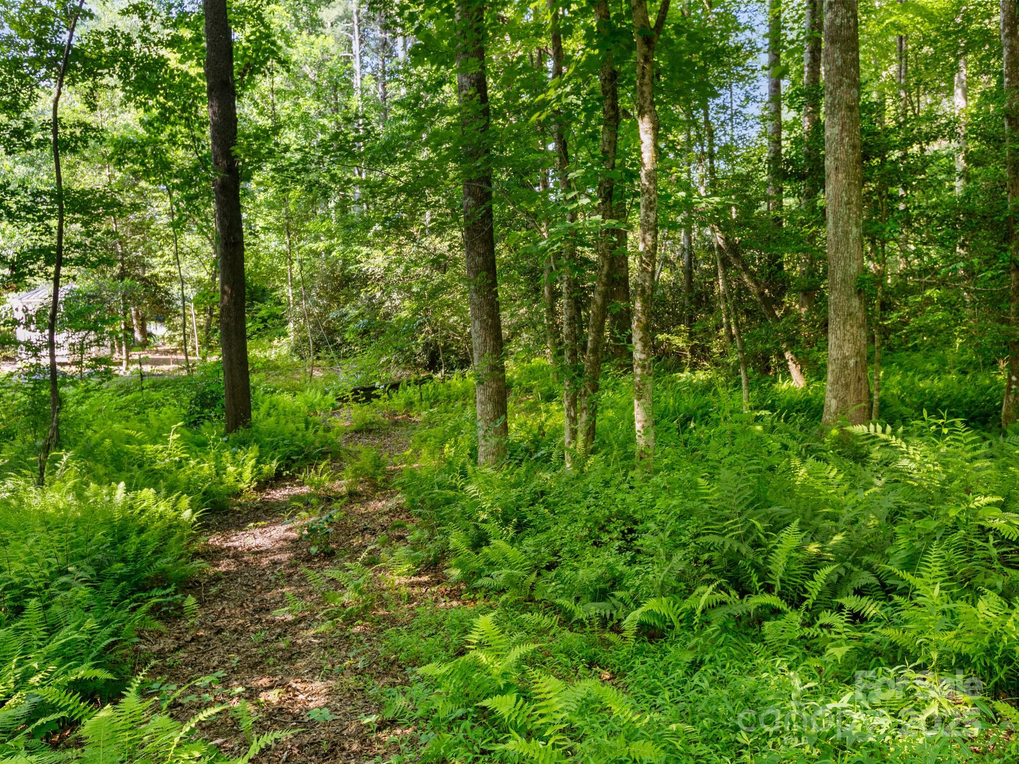 000 Old Town Way Hendersonville NC 28739
