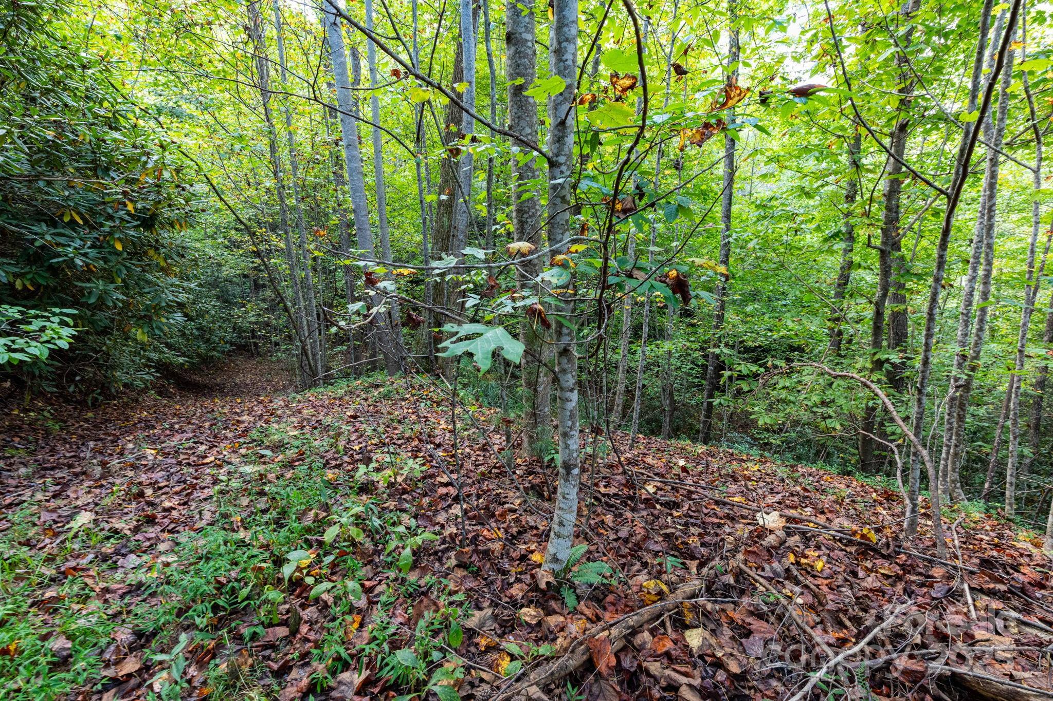 999 Nc 209 Highway Hot Springs NC 28743