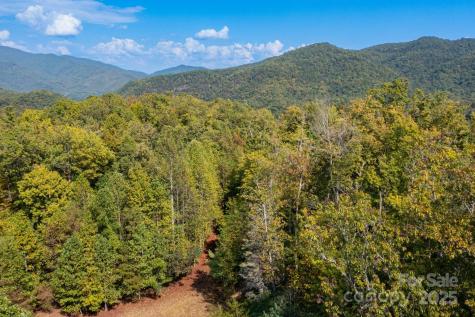 999 Nc 209 Highway Hot Springs NC 28743