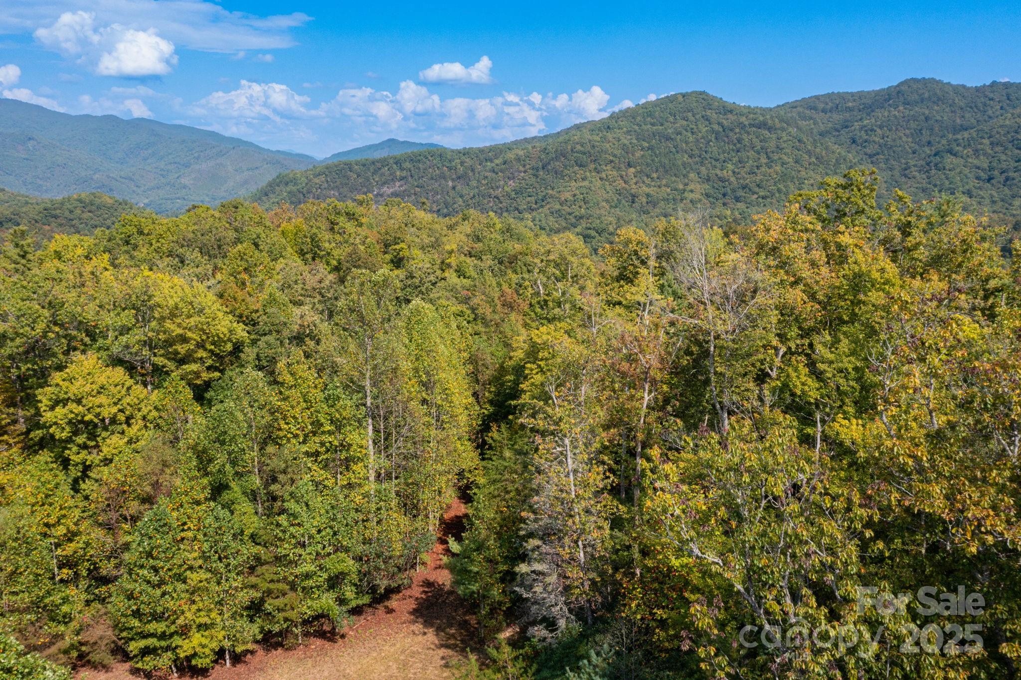 999 Nc 209 Highway Hot Springs NC 28743