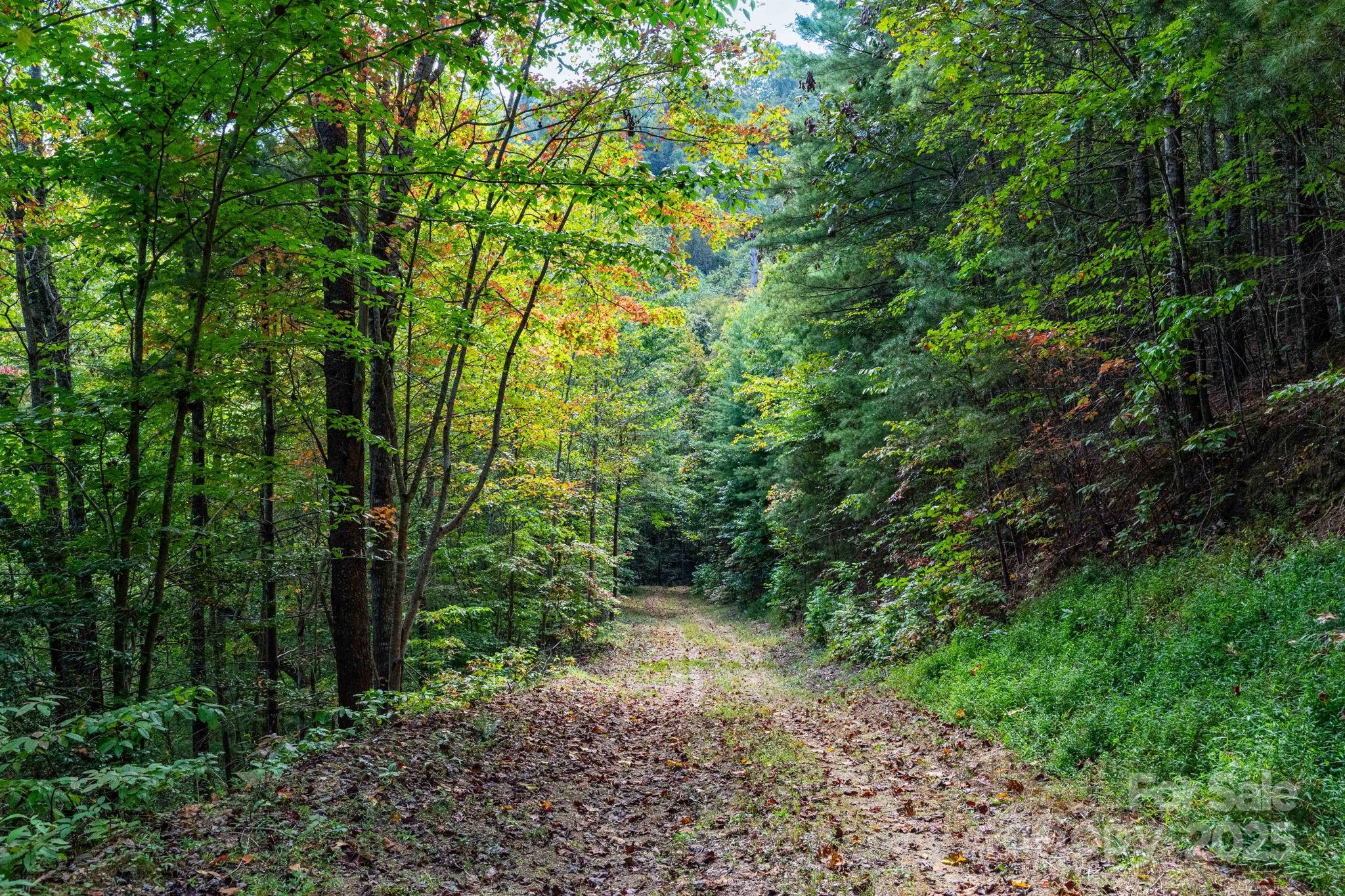 999 Nc 209 Highway Hot Springs NC 28743