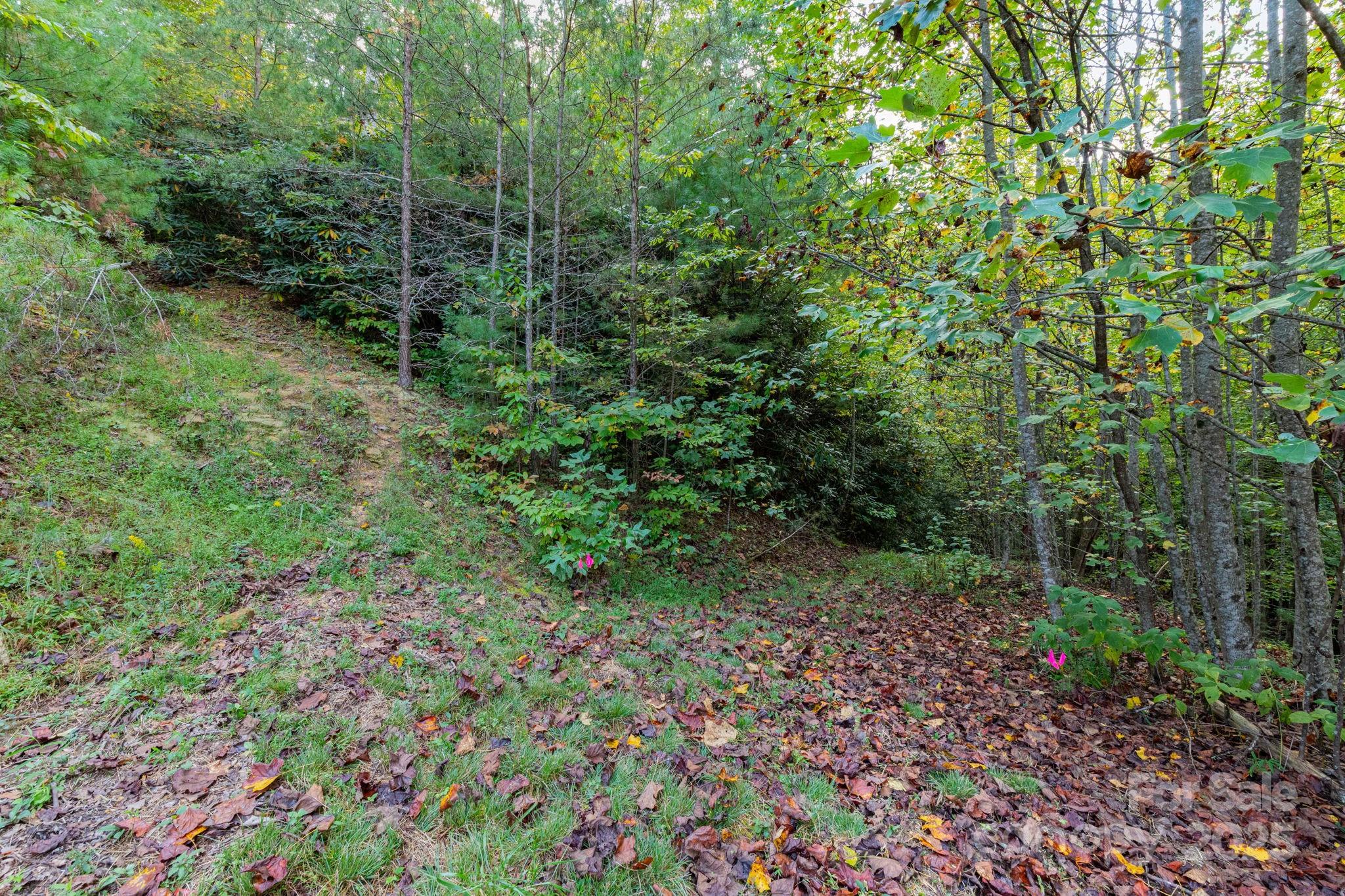 999 Nc 209 Highway Hot Springs NC 28743