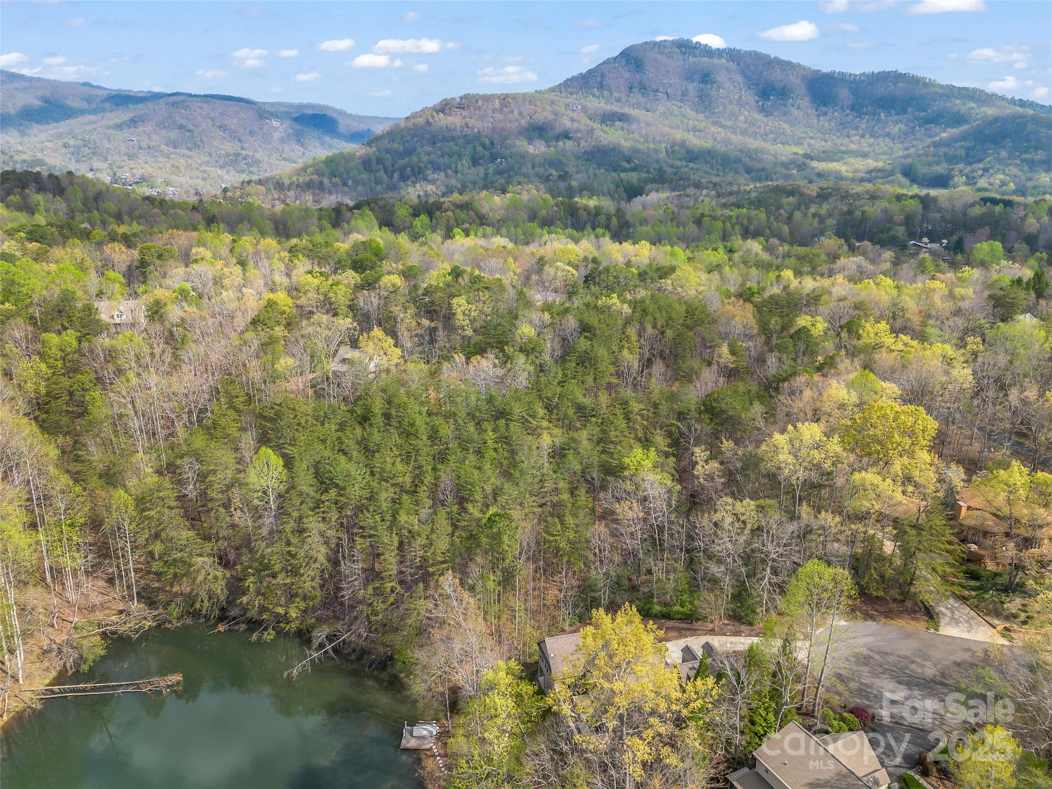 00 Whiteside Court Lake Lure NC 28746