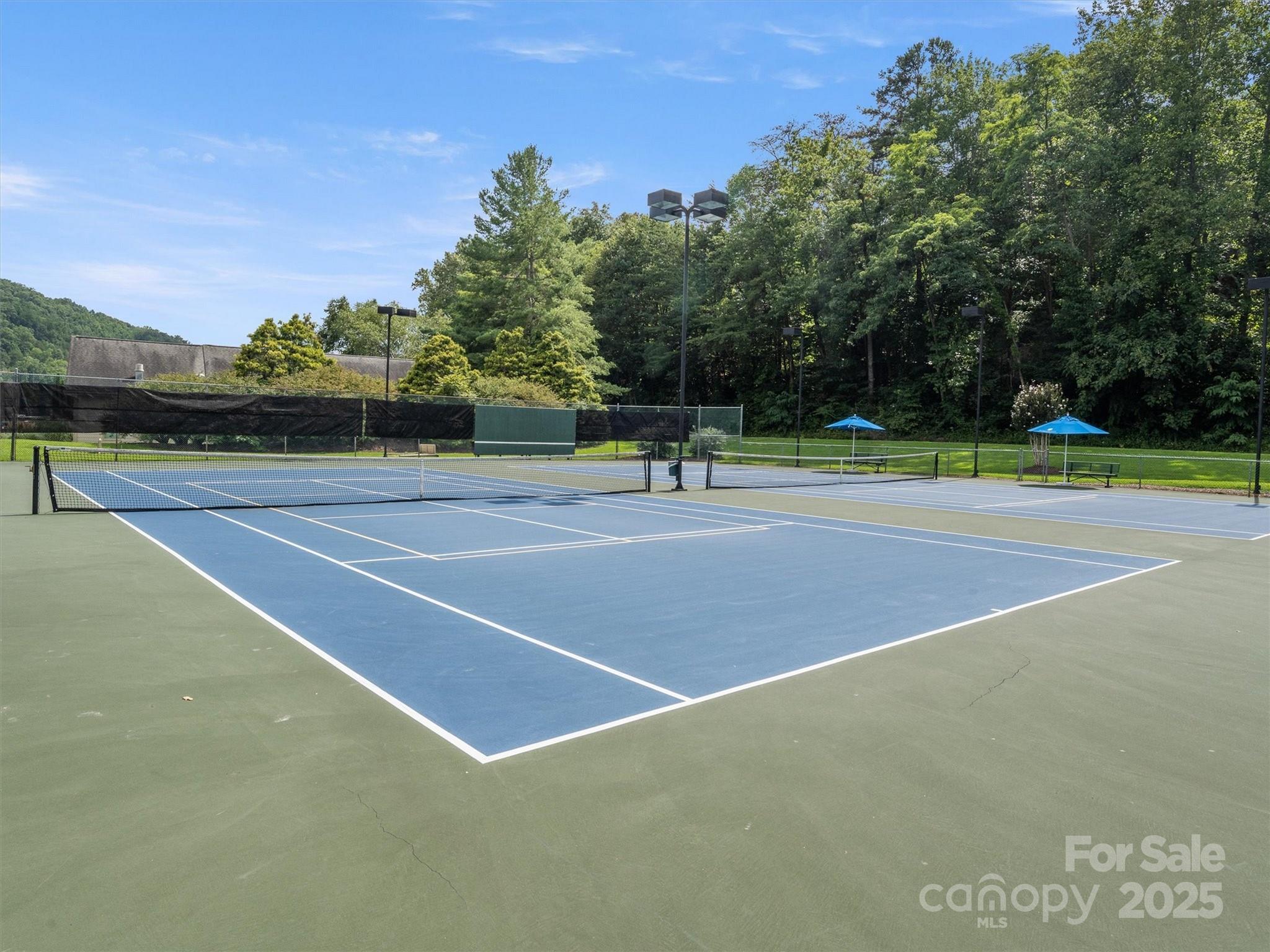 00 Whiteside Court Lake Lure NC 28746