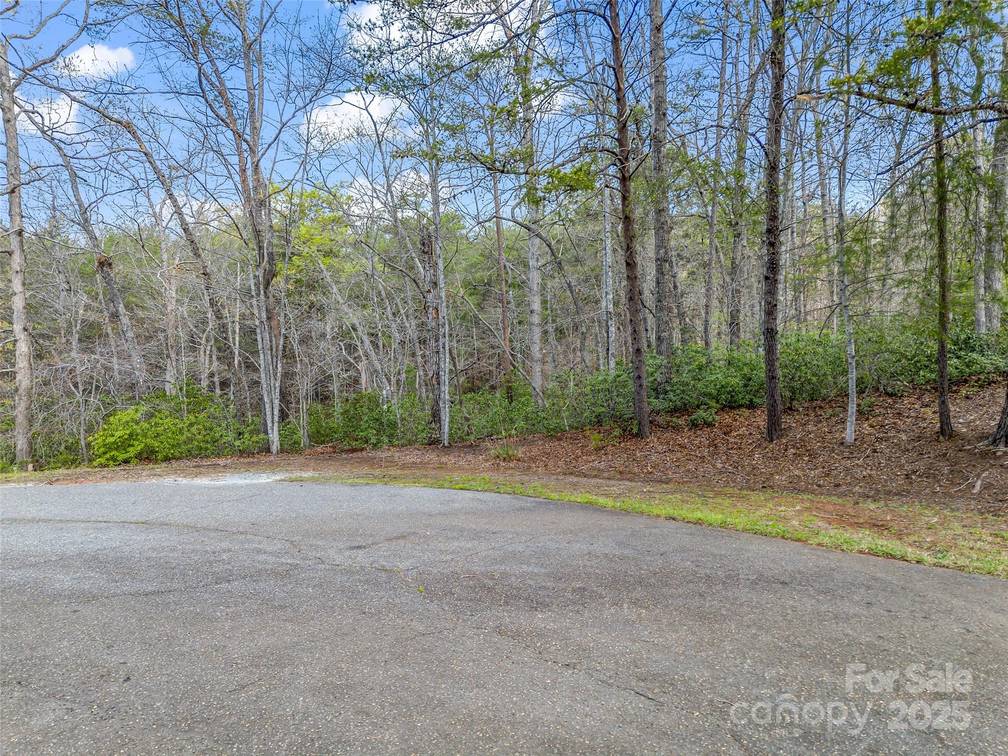 00 Whiteside Court Lake Lure NC 28746