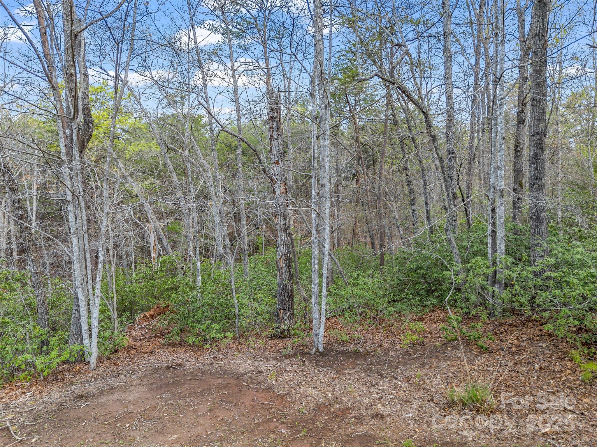 00 Whiteside Court Lake Lure NC 28746