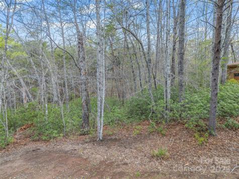 00 Whiteside Court Lake Lure NC 28746