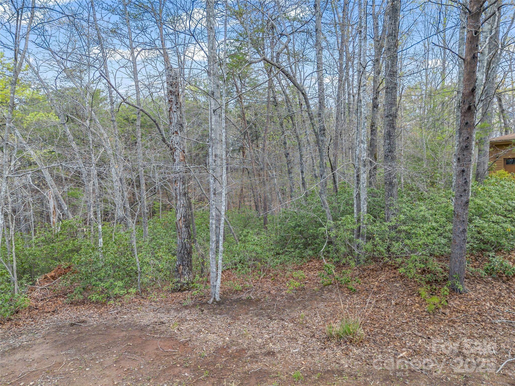 00 Whiteside Court Lake Lure NC 28746