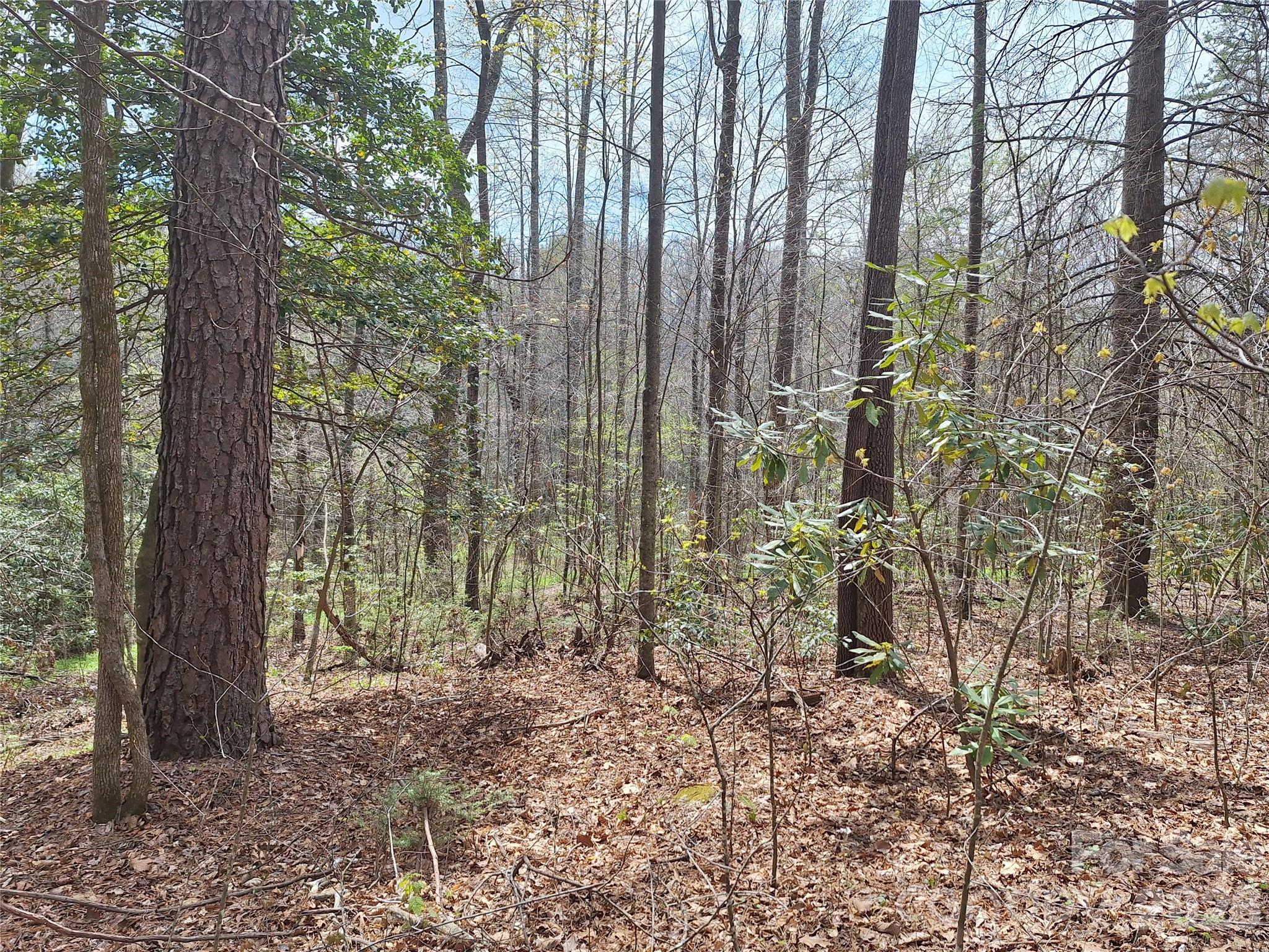 946 Lake Road Old Fort NC 28762