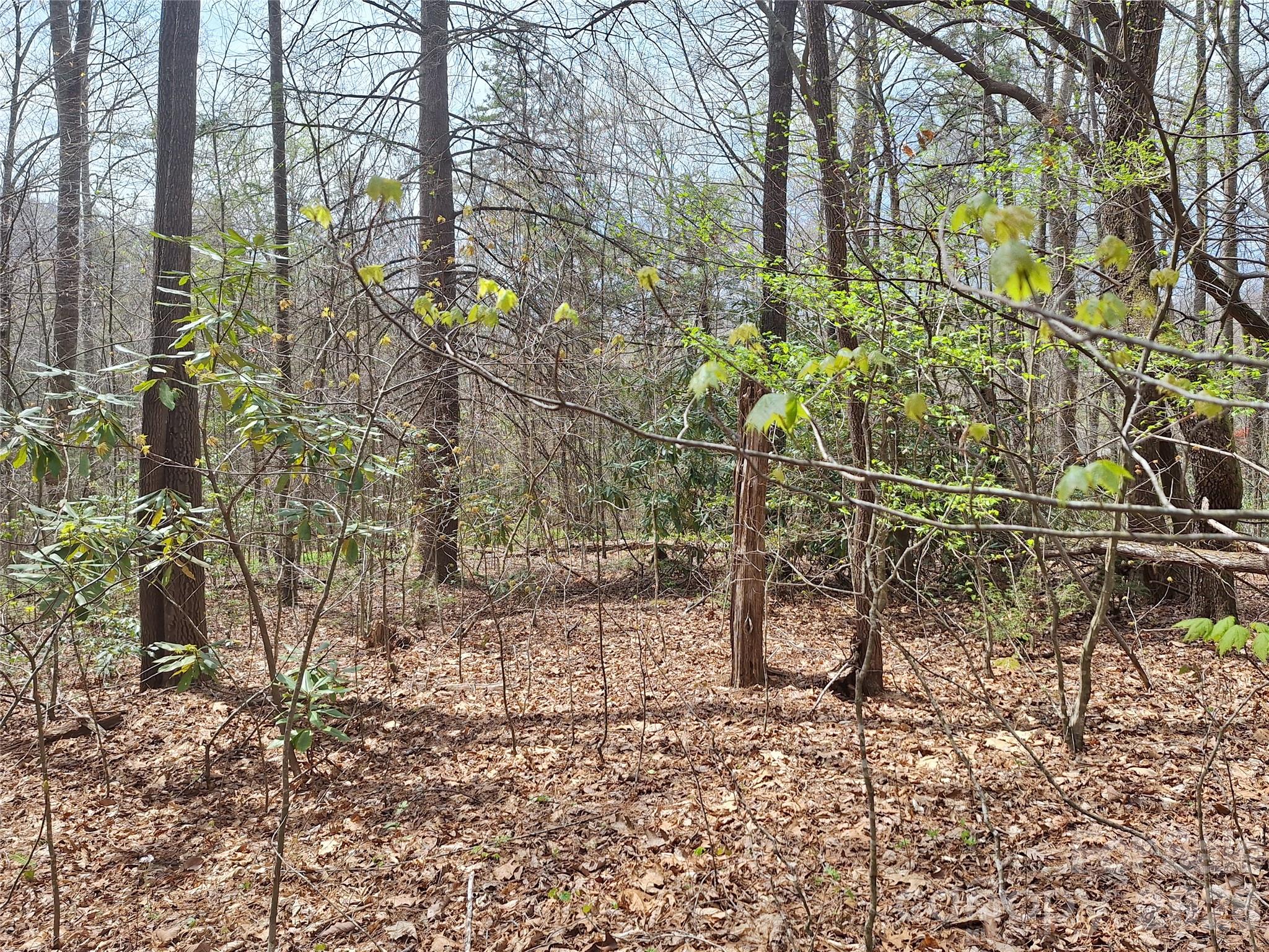 946 Lake Road Old Fort NC 28762