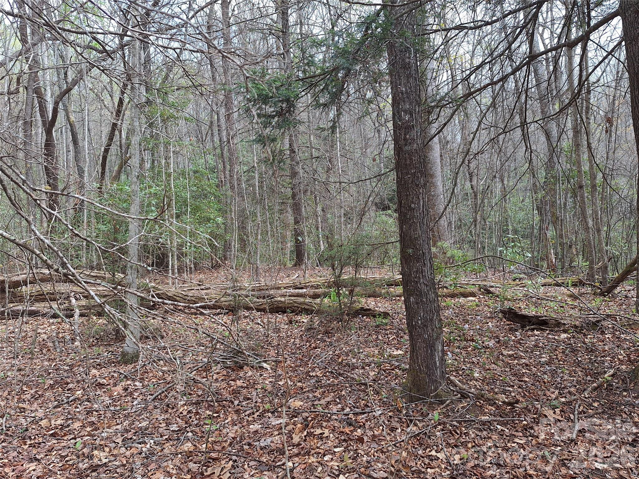 946 Lake Road Old Fort NC 28762