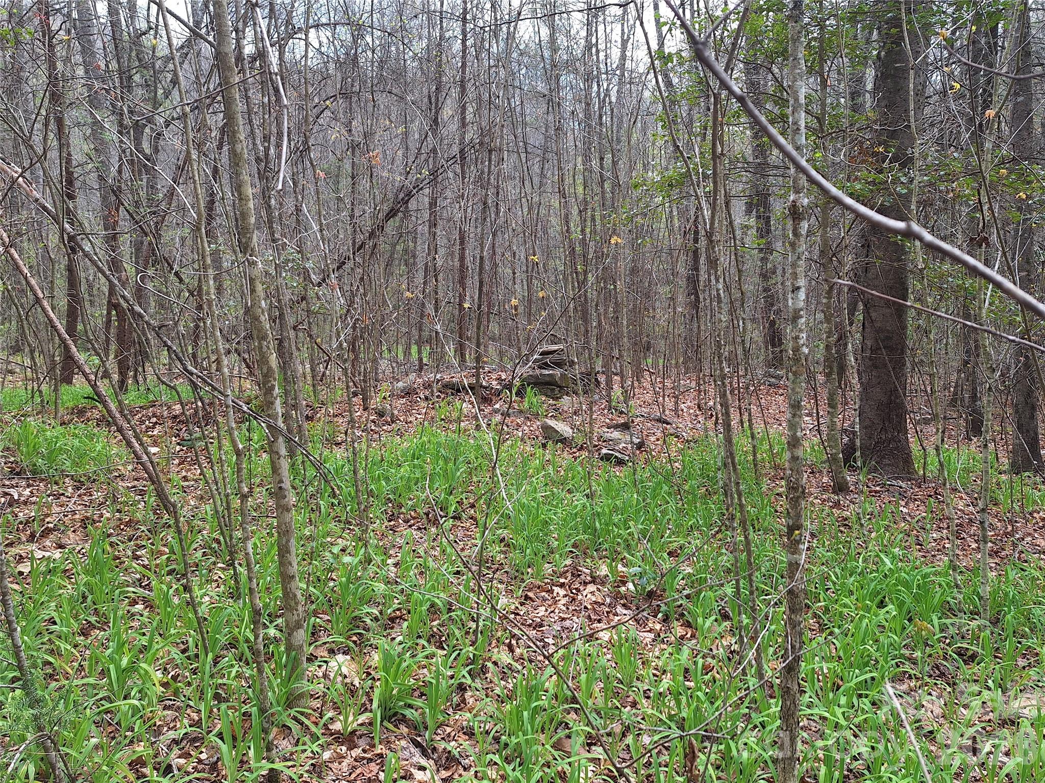 946 Lake Road Old Fort NC 28762