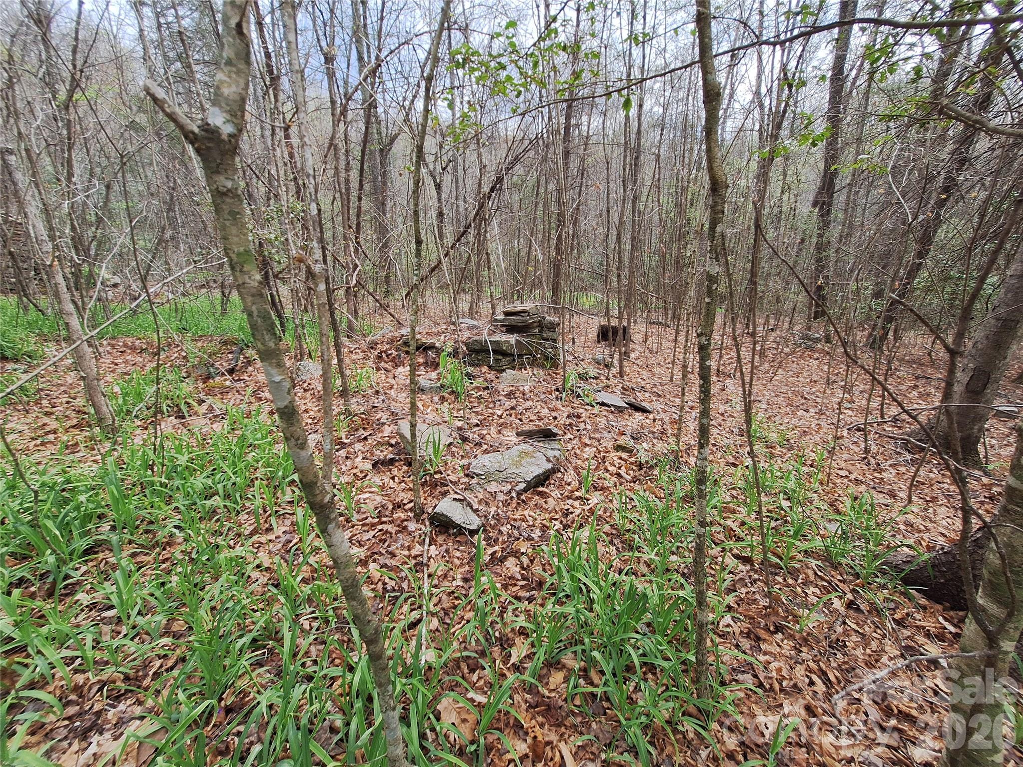 946 Lake Road Old Fort NC 28762