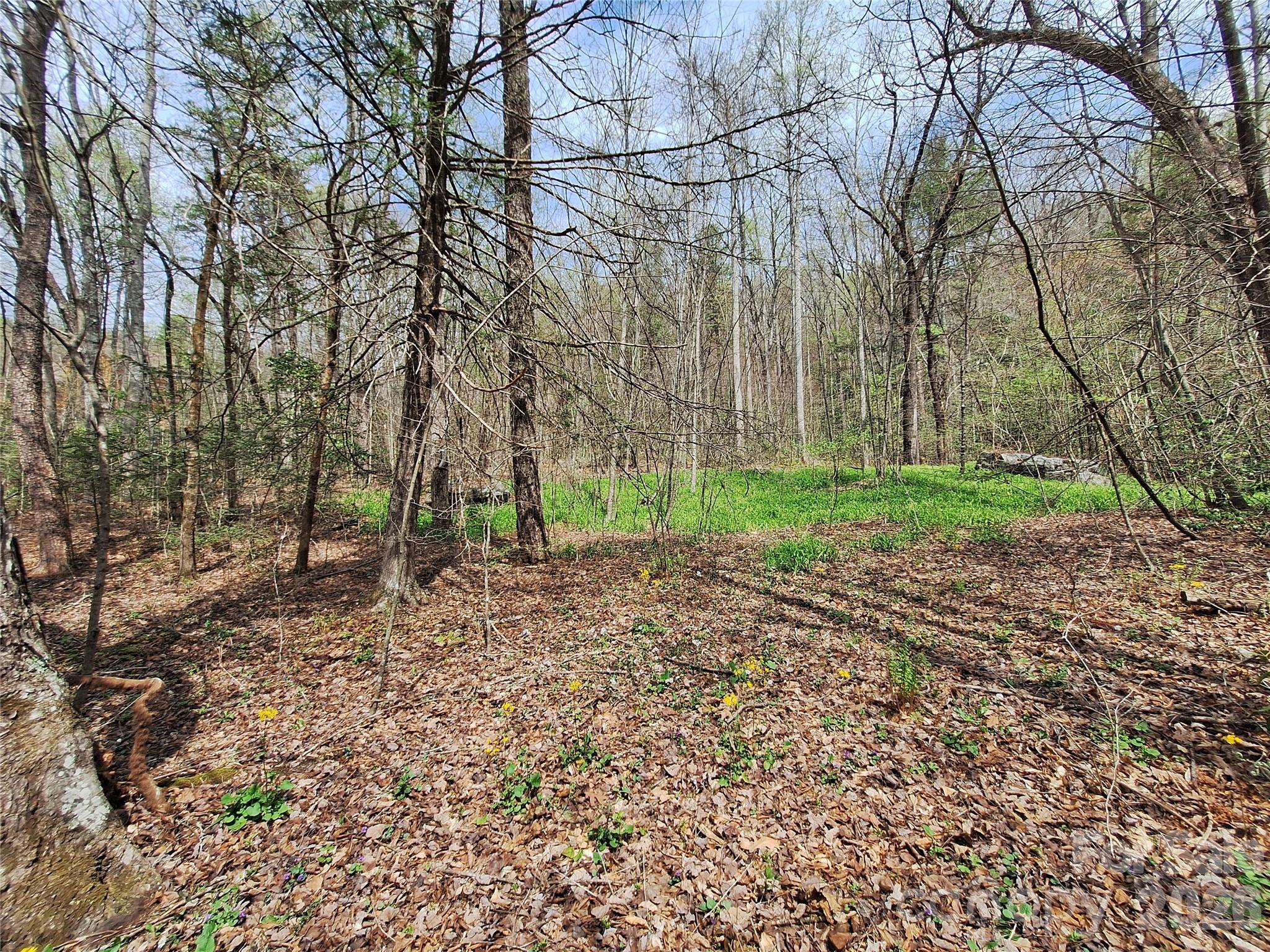 946 Lake Road Old Fort NC 28762