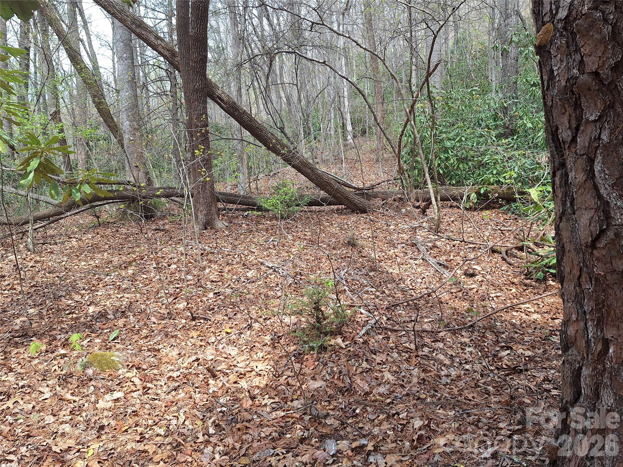 946 Lake Road Old Fort NC 28762