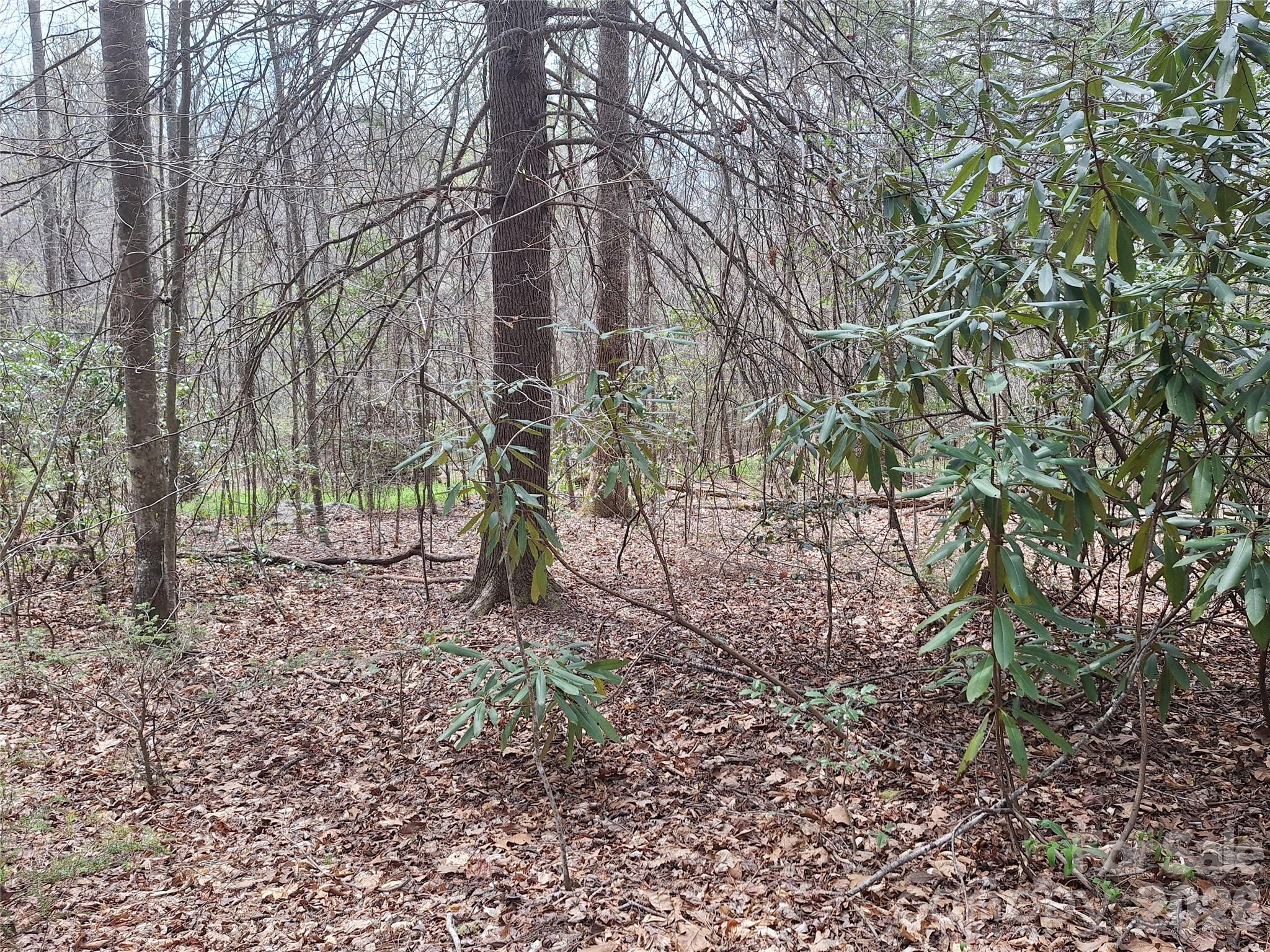 946 Lake Road Old Fort NC 28762
