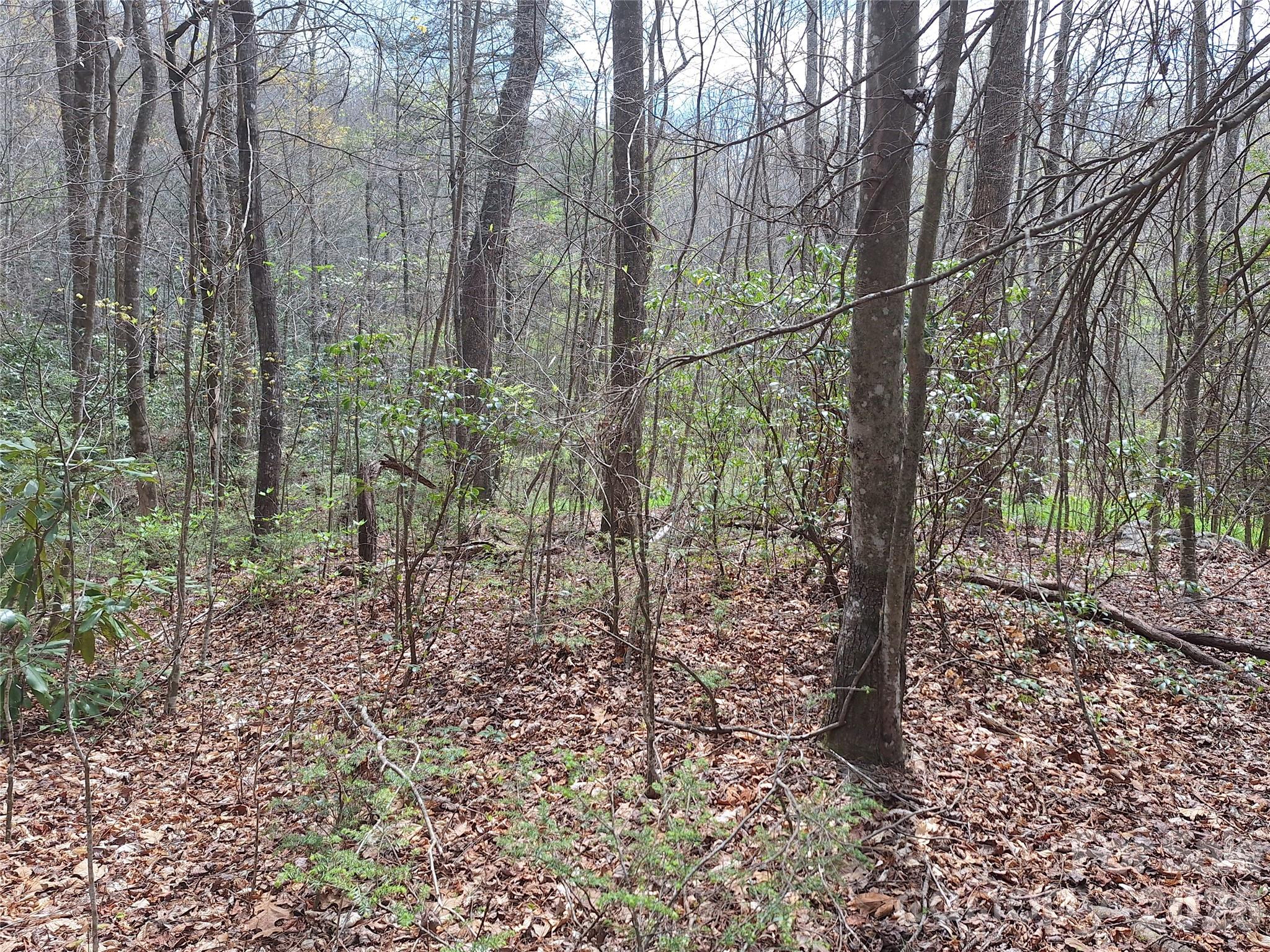 946 Lake Road Old Fort NC 28762