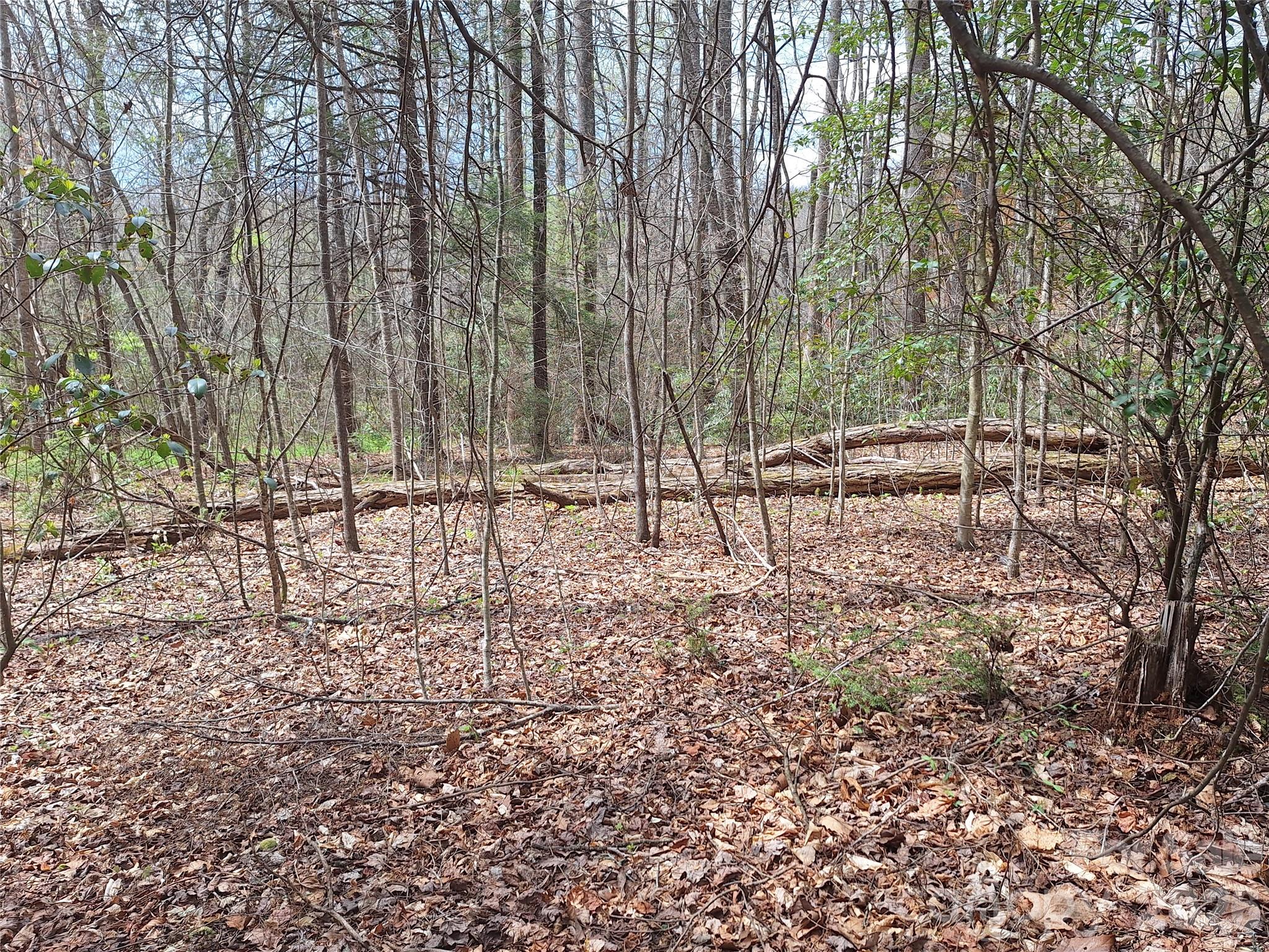 946 Lake Road Old Fort NC 28762