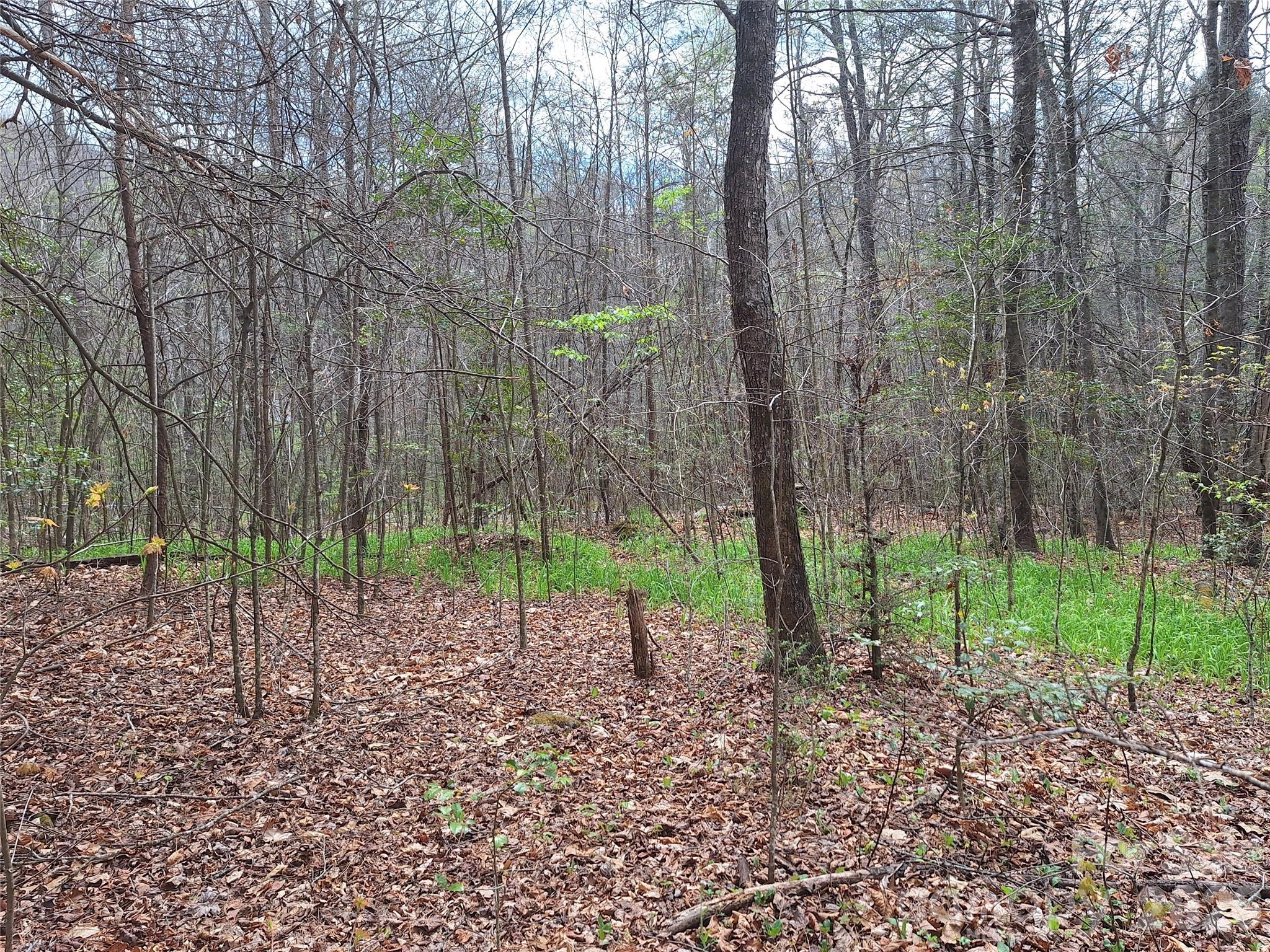 946 Lake Road Old Fort NC 28762