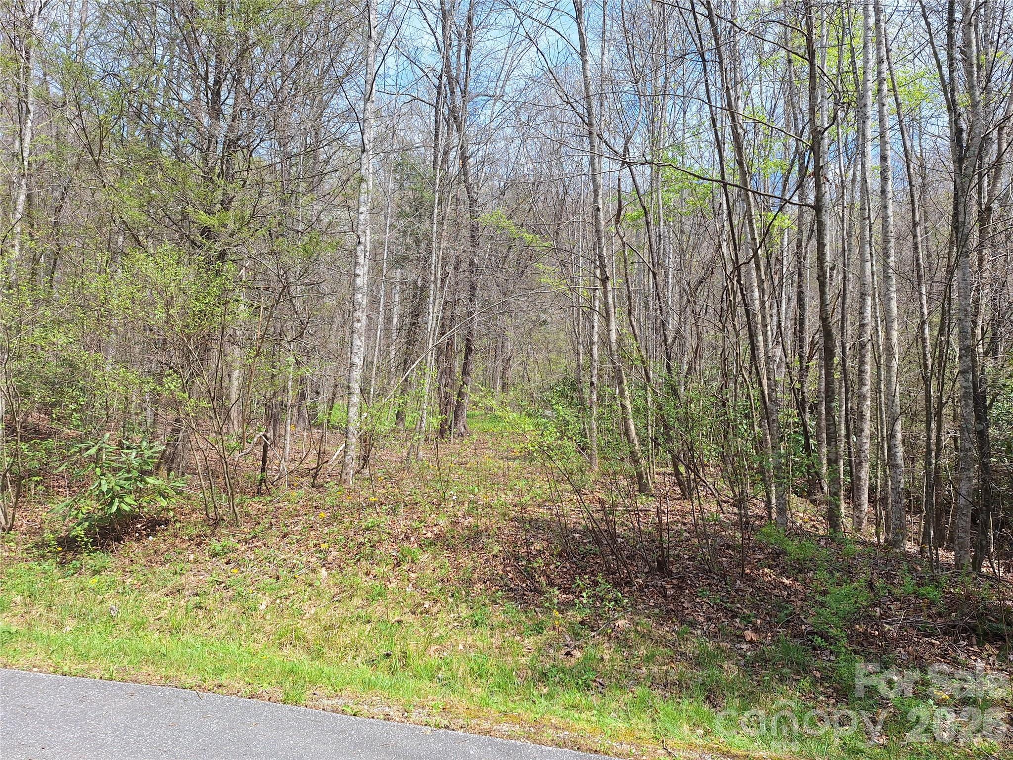 946 Lake Road Old Fort NC 28762