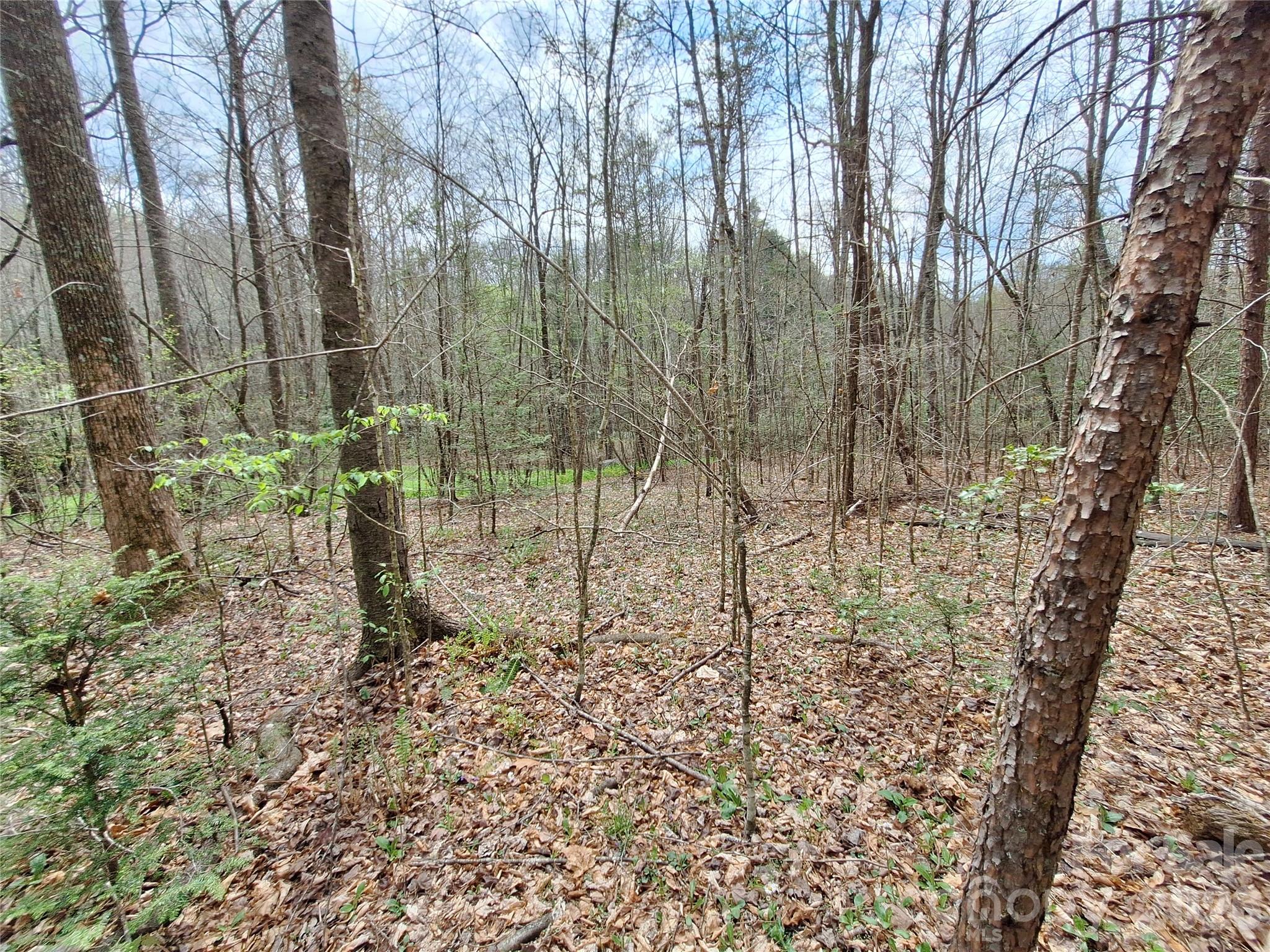 946 Lake Road Old Fort NC 28762