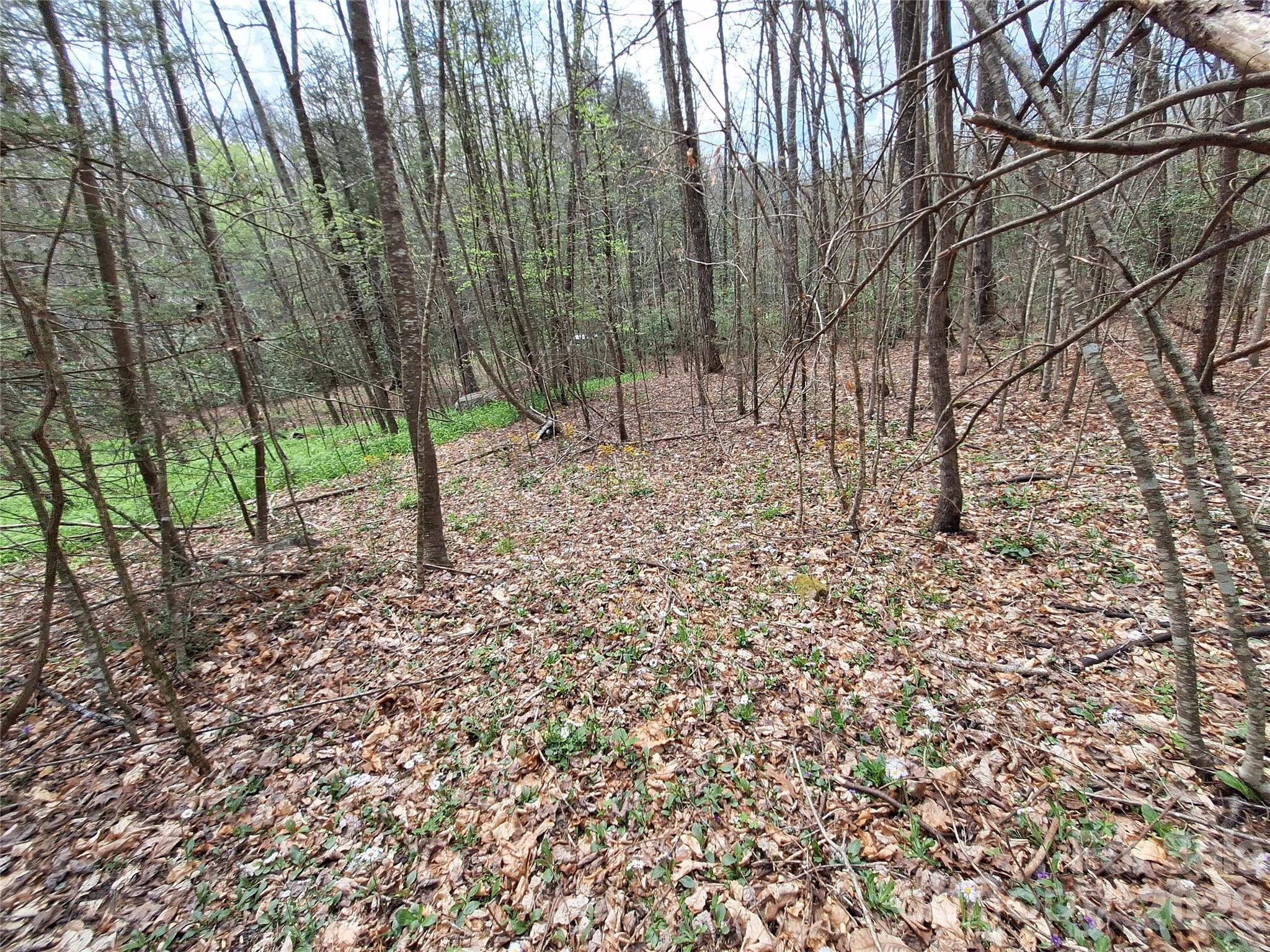 946 Lake Road Old Fort NC 28762