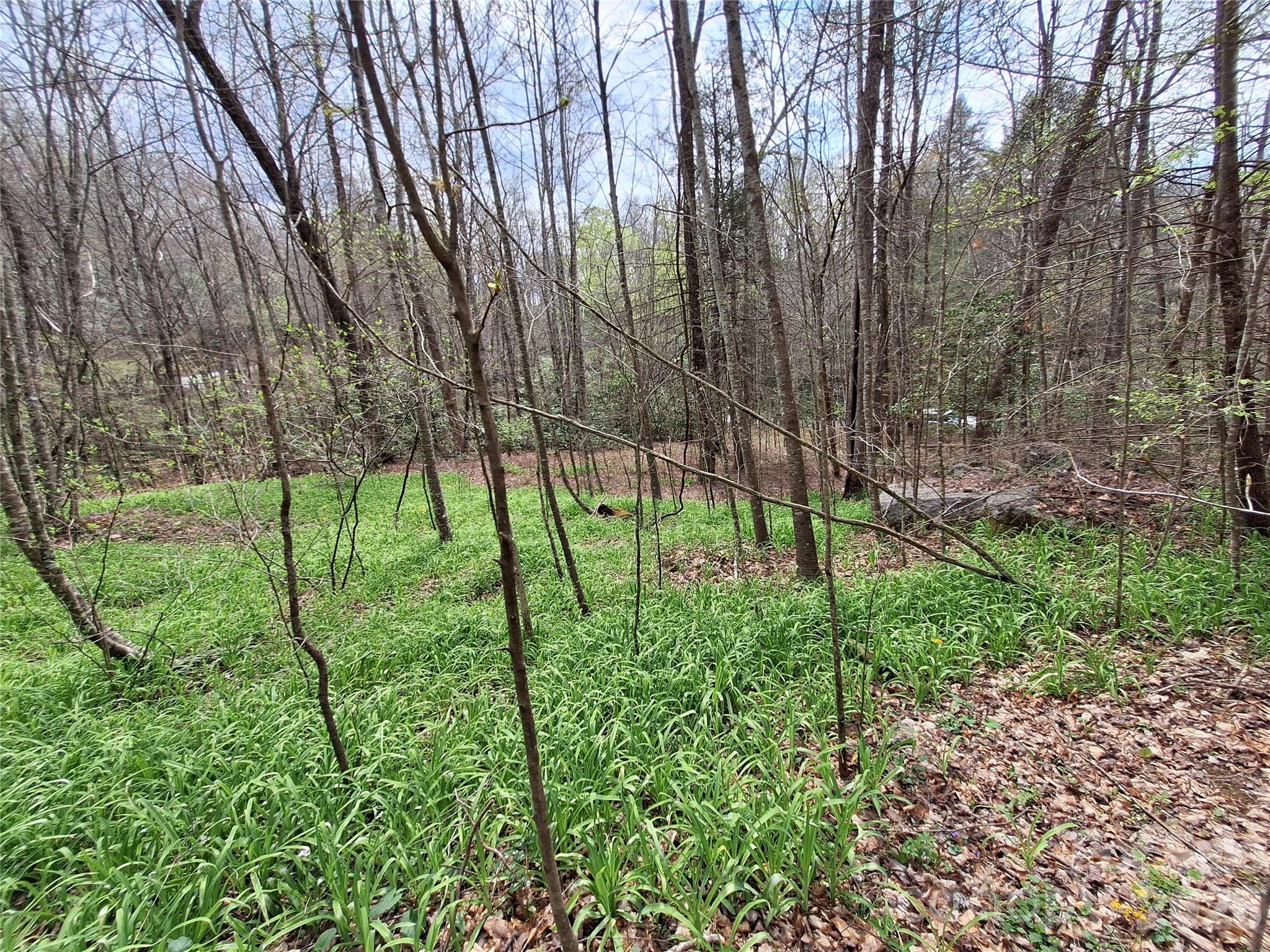 946 Lake Road Old Fort NC 28762