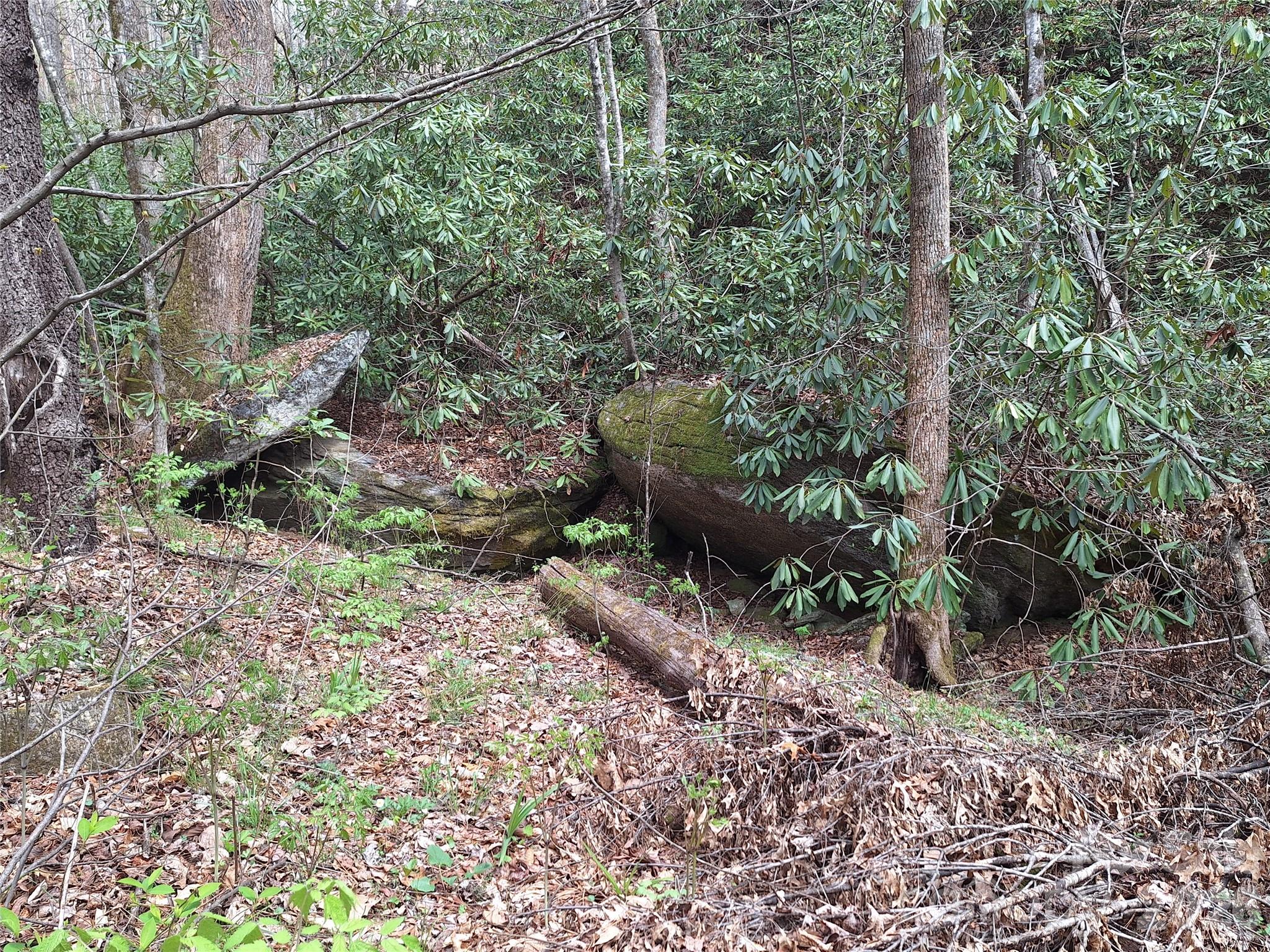 946 Lake Road Old Fort NC 28762