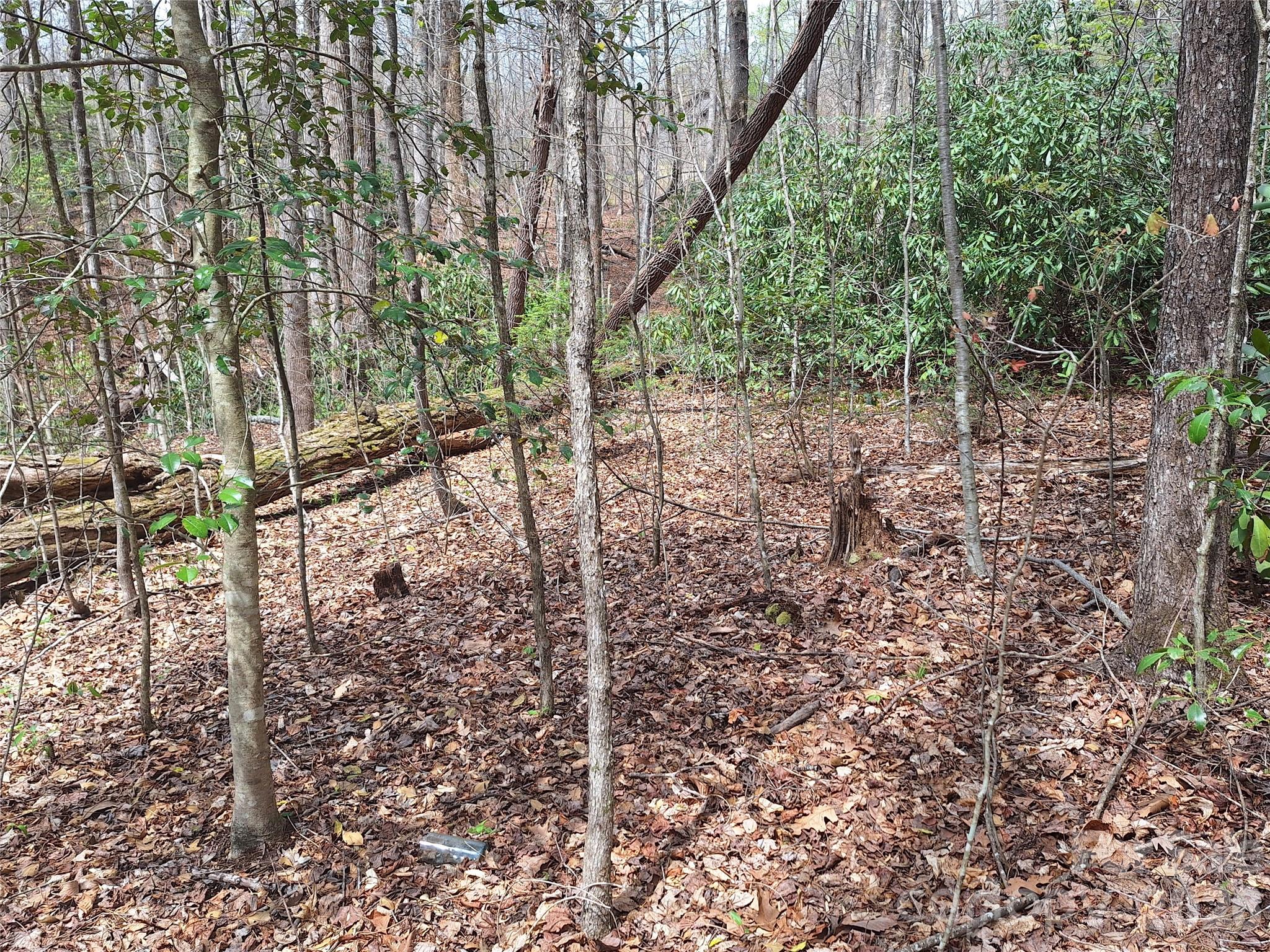946 Lake Road Old Fort NC 28762