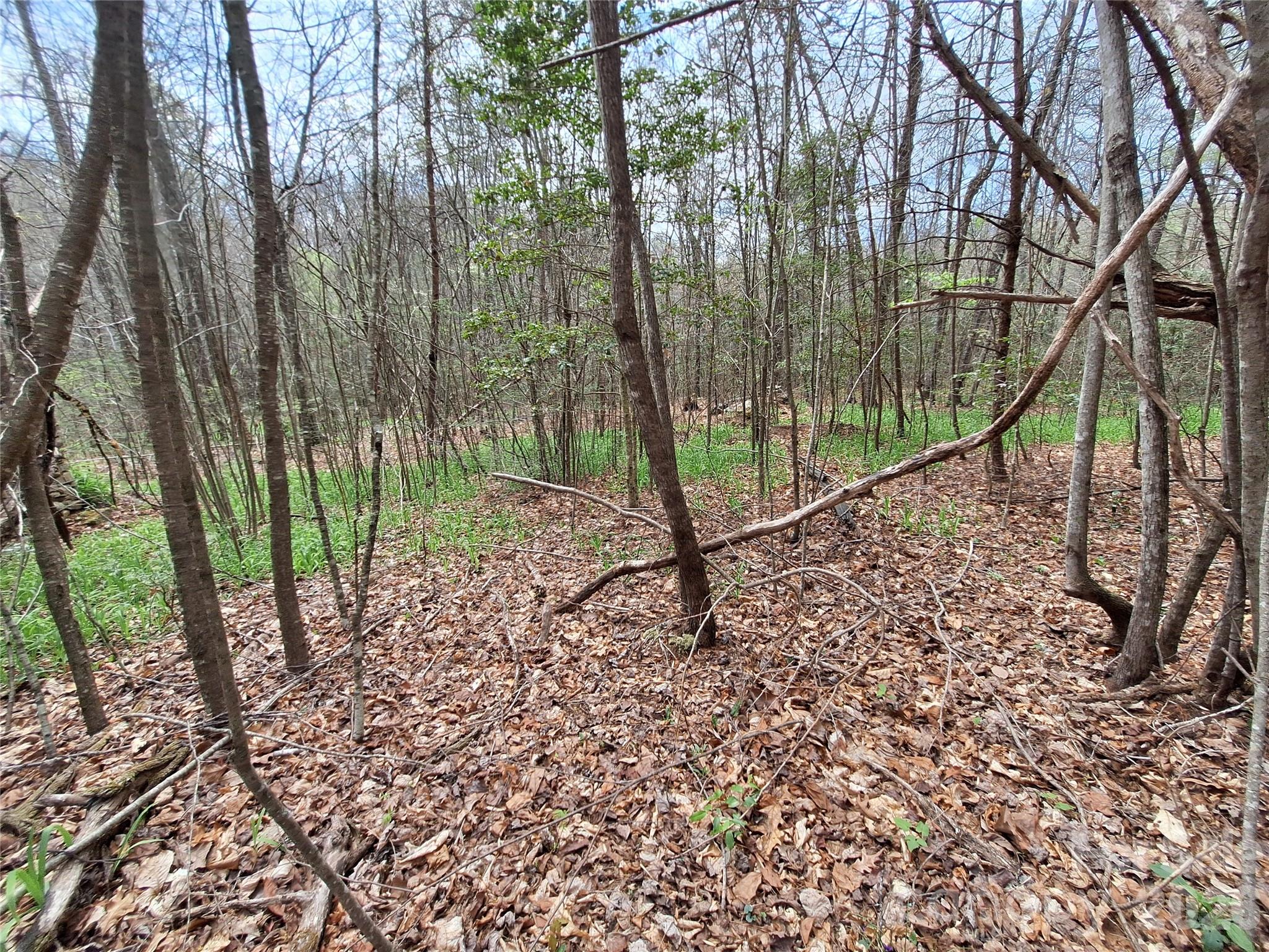 946 Lake Road Old Fort NC 28762