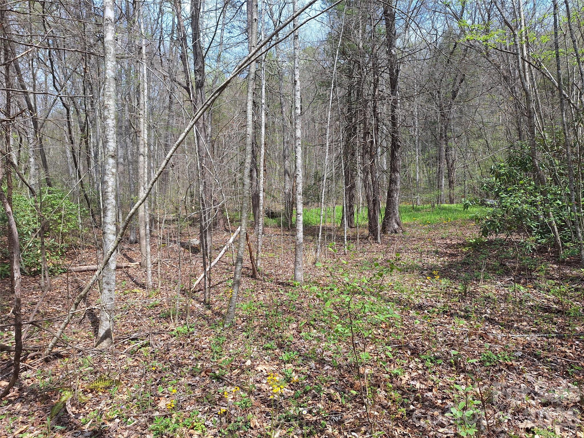 946 Lake Road Old Fort NC 28762
