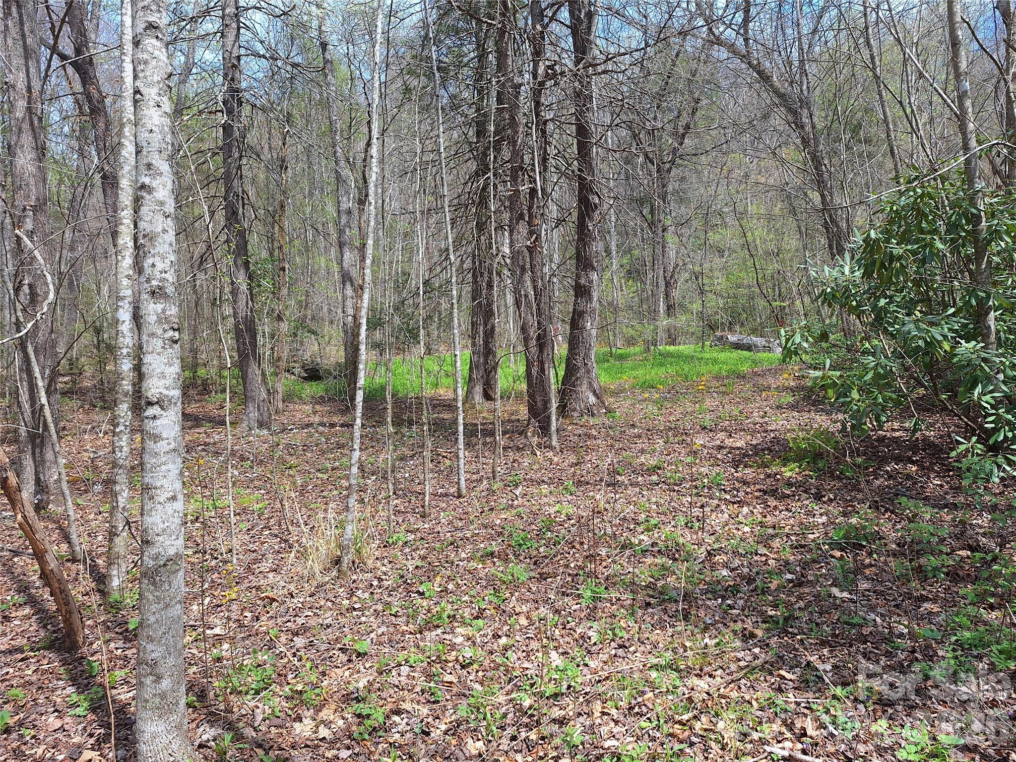 946 Lake Road Old Fort NC 28762