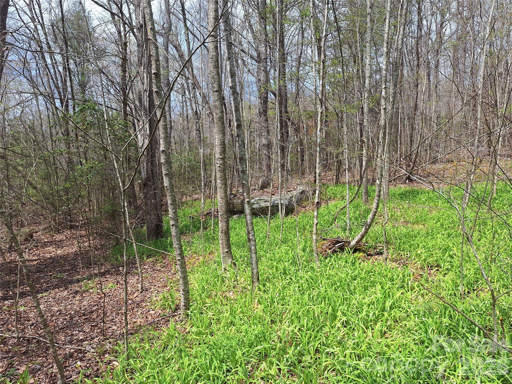 946 Lake Road Old Fort NC 28762