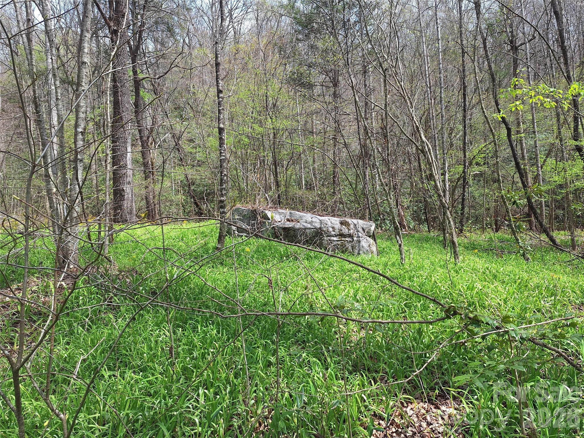 946 Lake Road Old Fort NC 28762