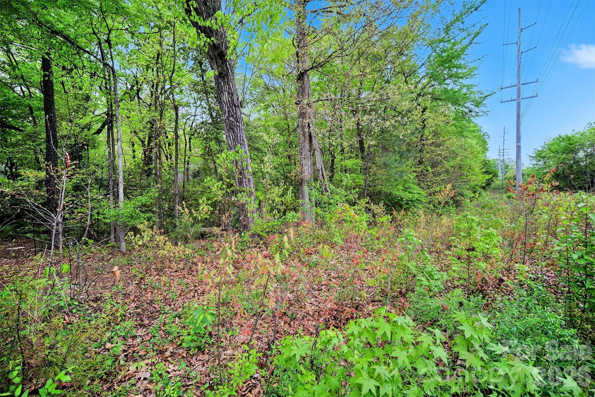 0 Leewood Drive Monroe NC 28112
