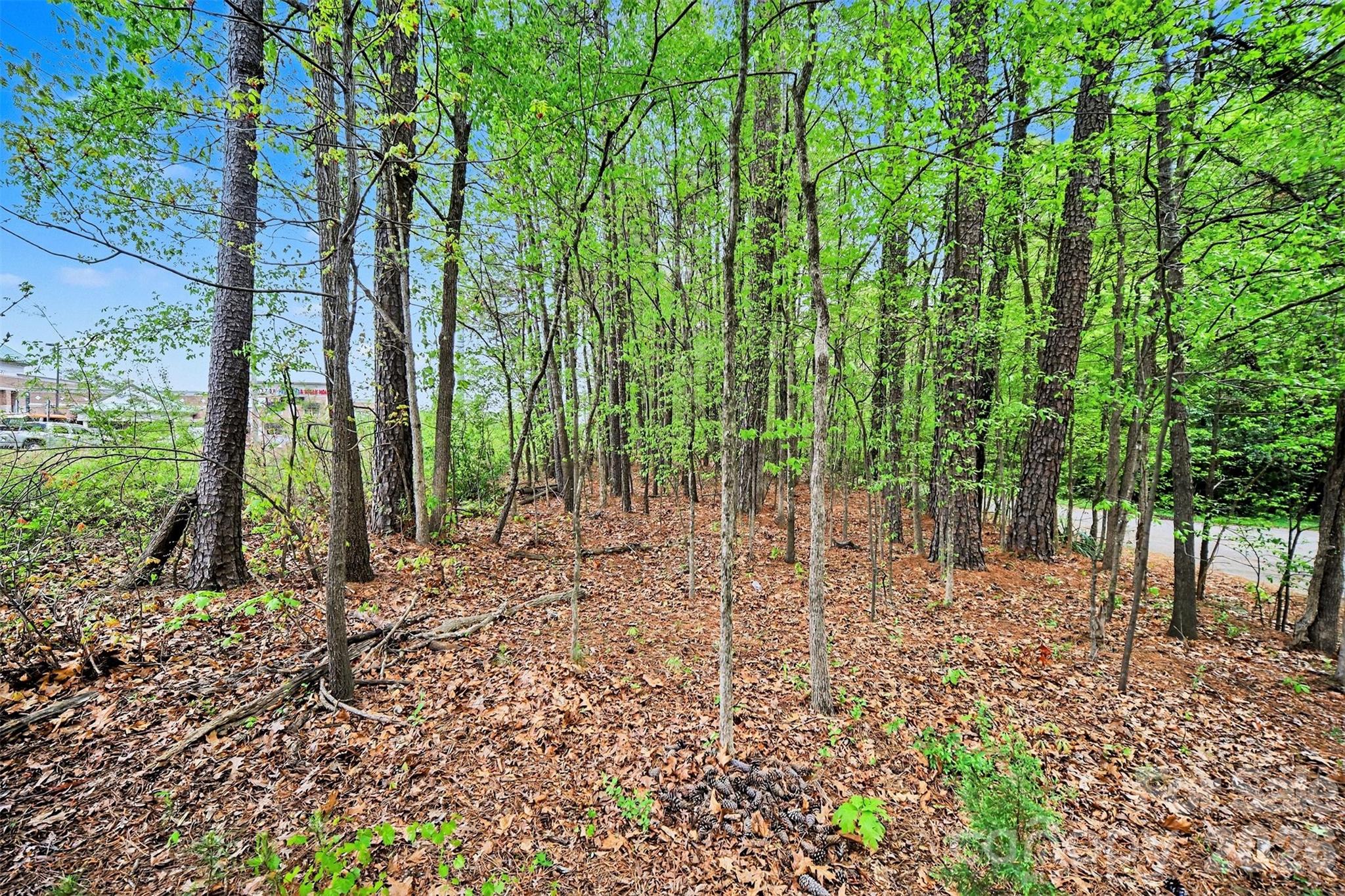 0 Leewood Drive Monroe NC 28112