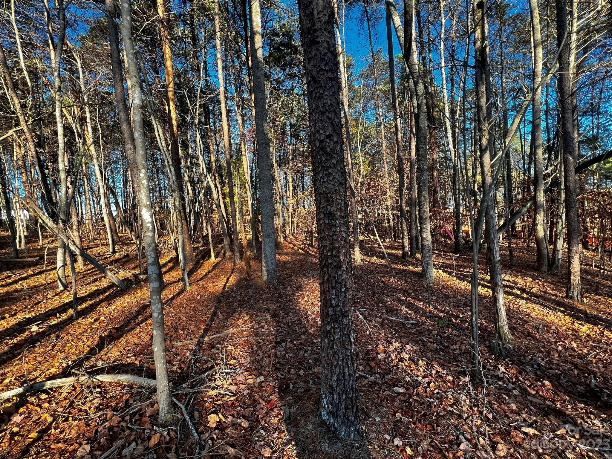 129 Hunt Camp Trail Davidson NC 28036
