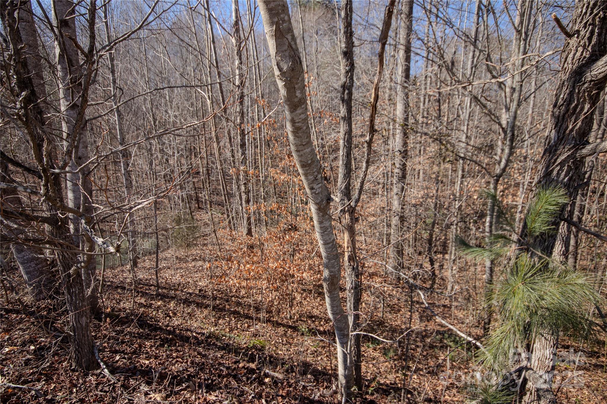 746 Chatsworth Circle SE Lenoir NC 28645