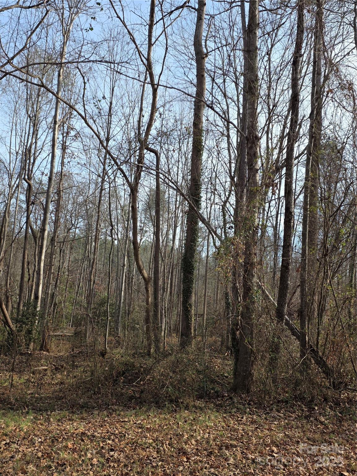 1919 Us 70 Highway E Morganton NC 28655