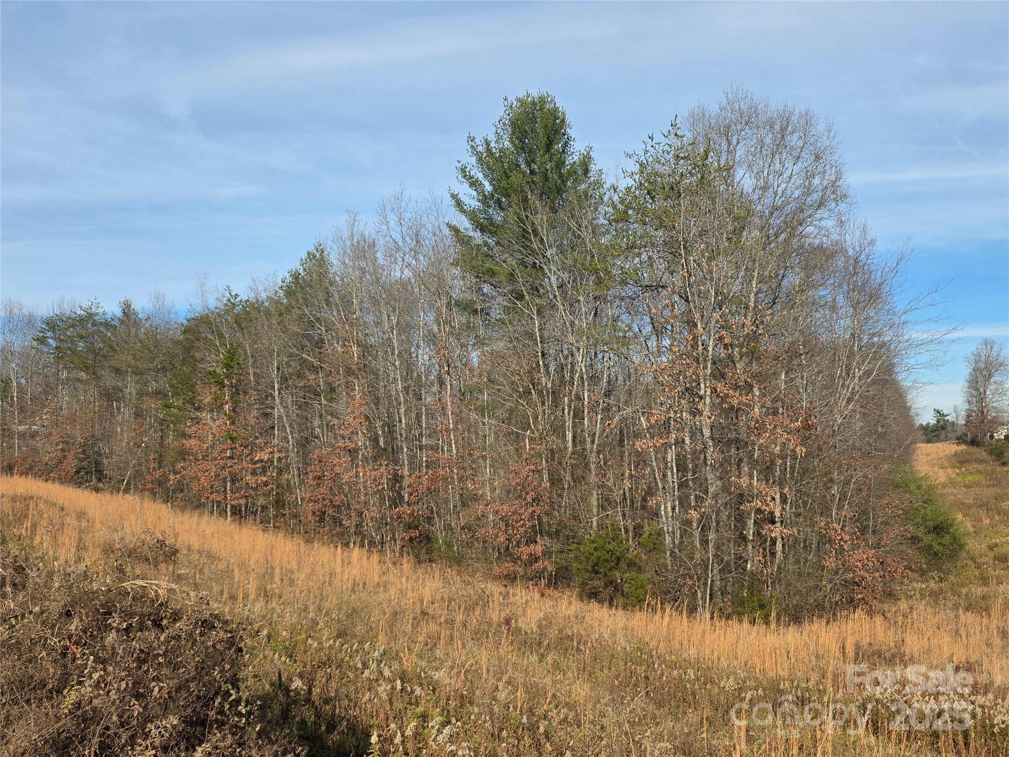 1919 Us 70 Highway E Morganton NC 28655